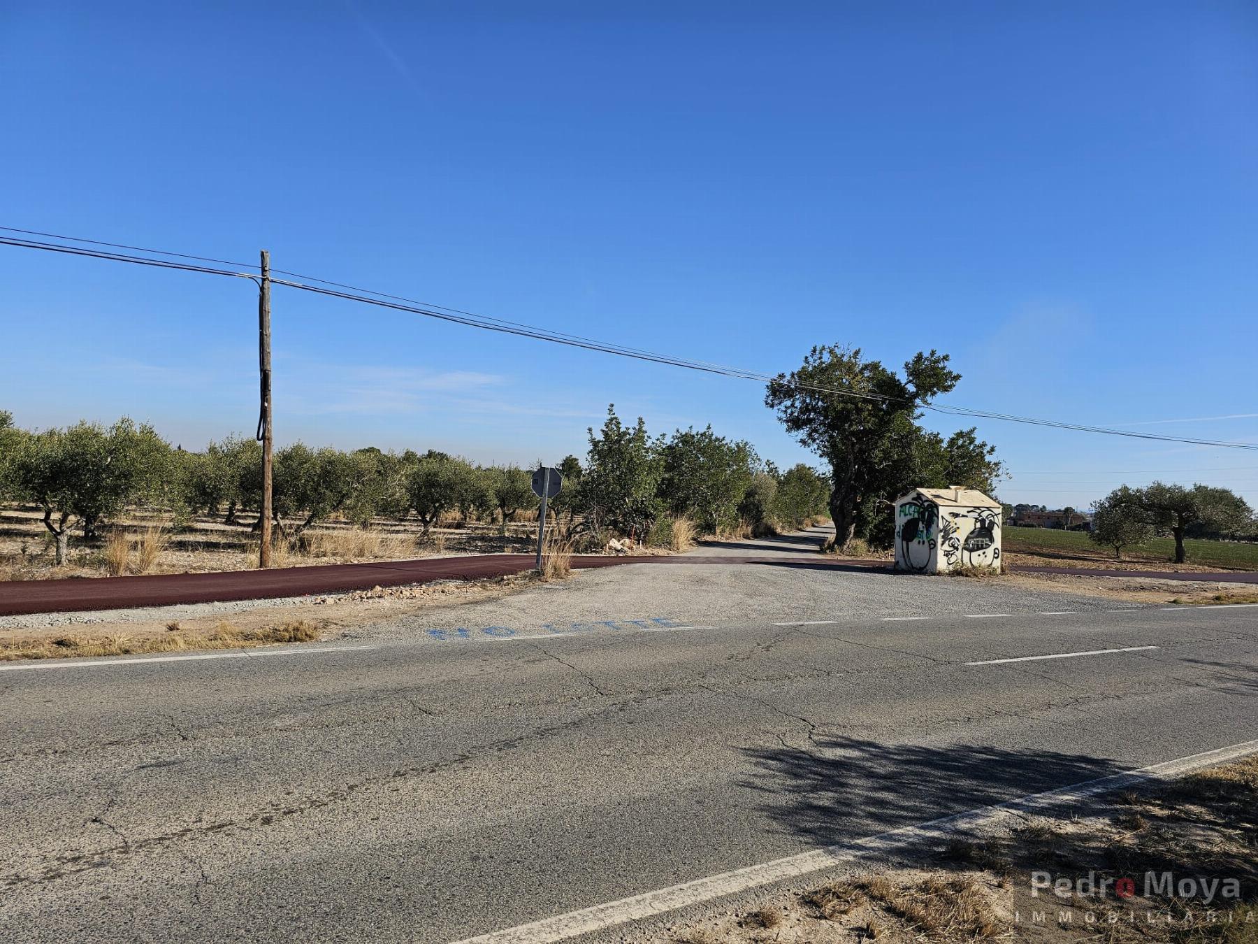 Venta de finca rústica en Mont-Roig del Camp