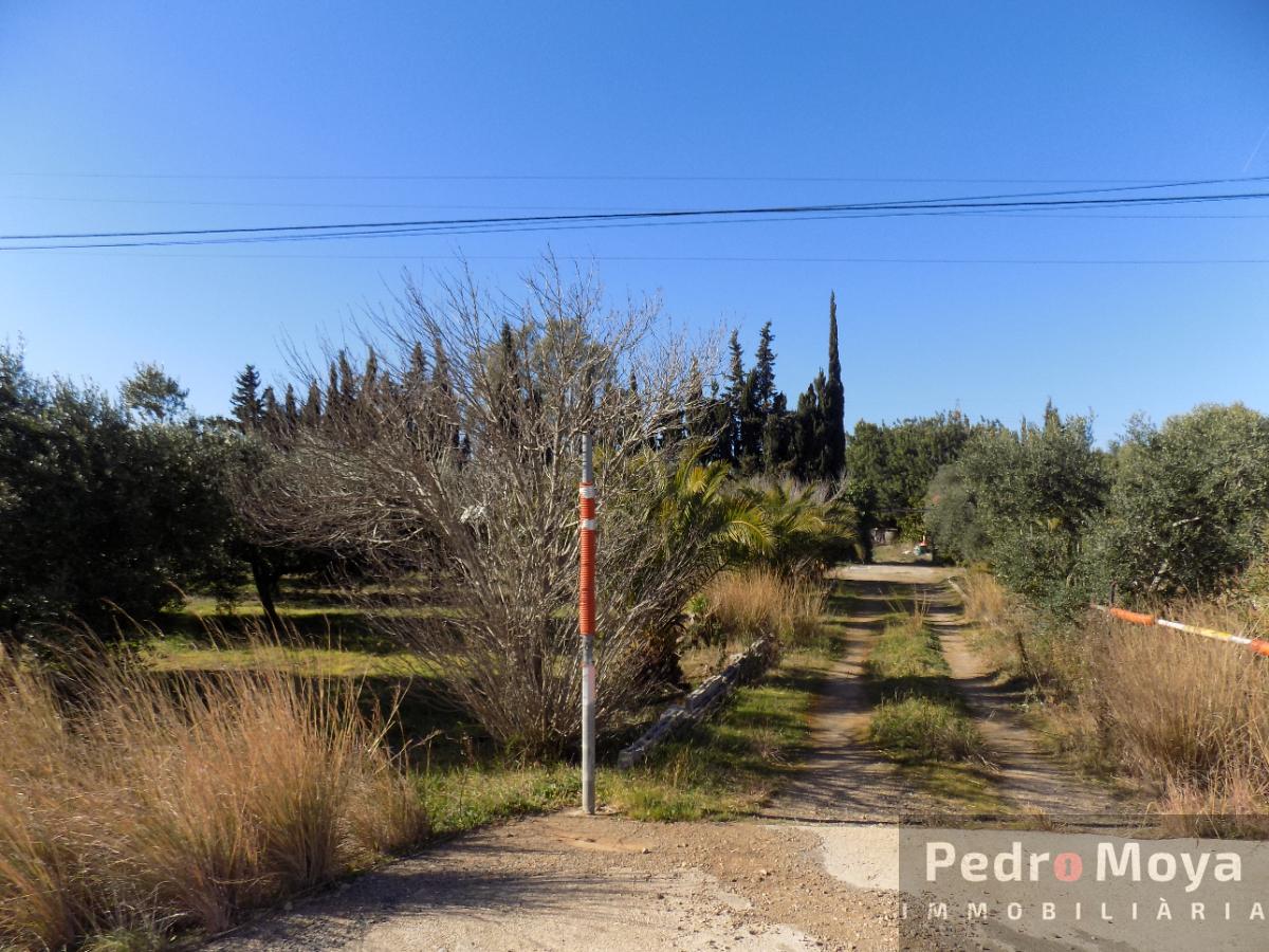 Venta de finca rústica en Montbrió del Camp