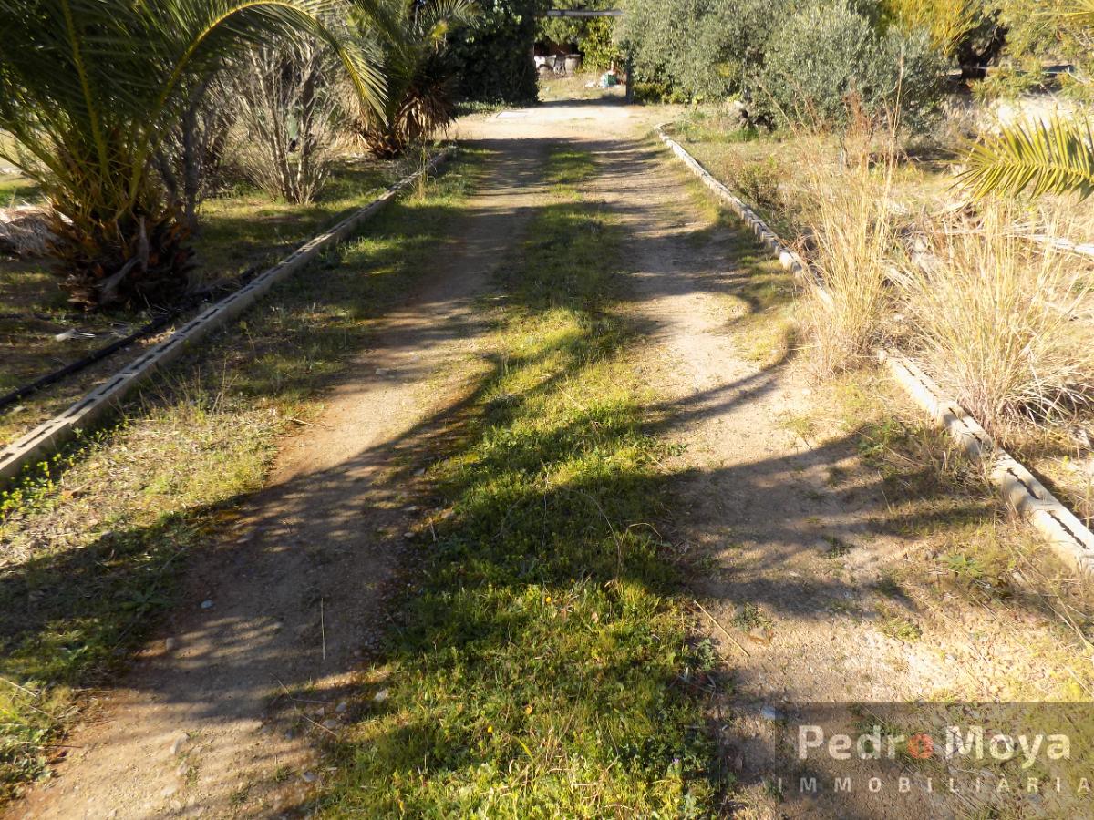 Venta de finca rústica en Montbrió del Camp