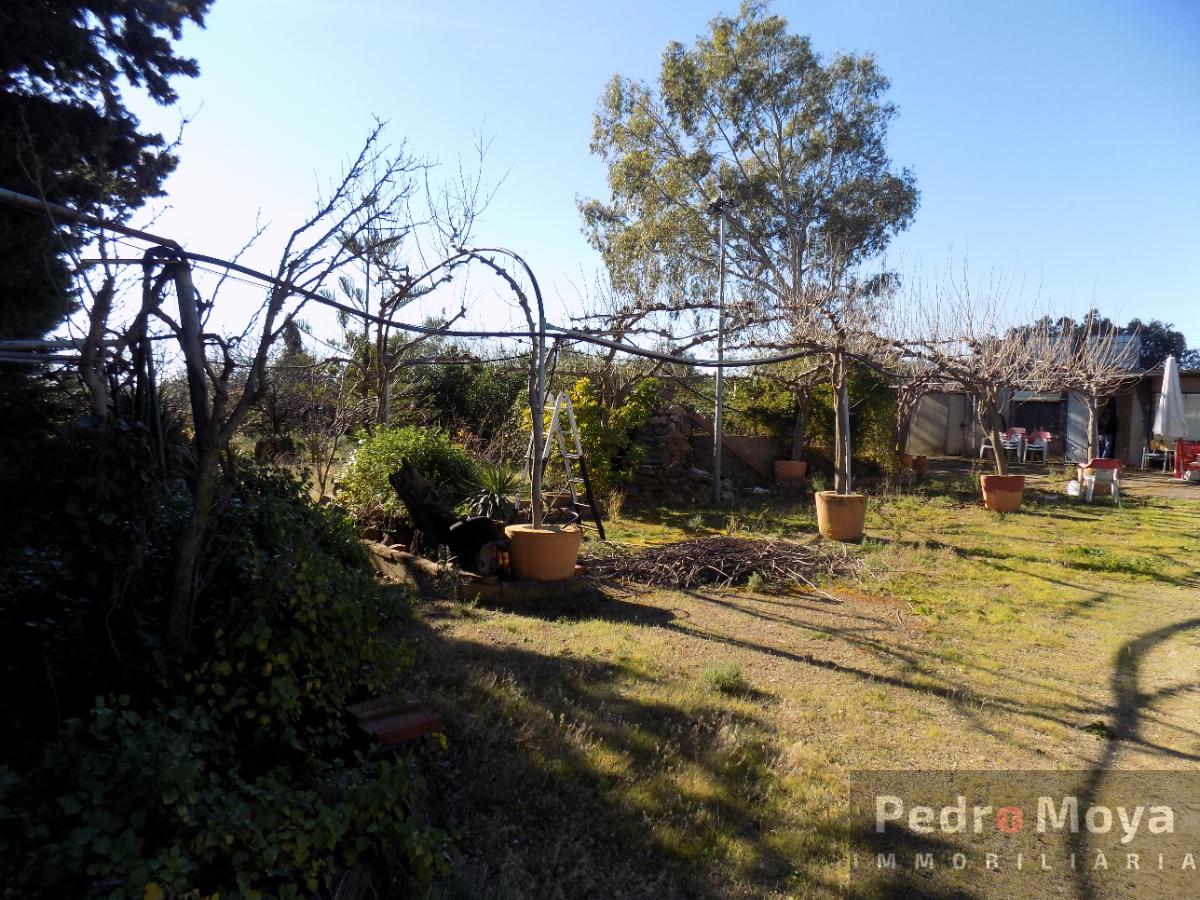 Venta de finca rústica en Montbrió del Camp