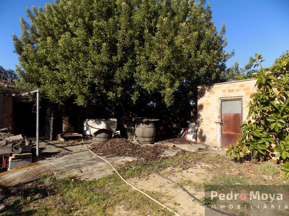 For sale of rural property in Montbrió del Camp