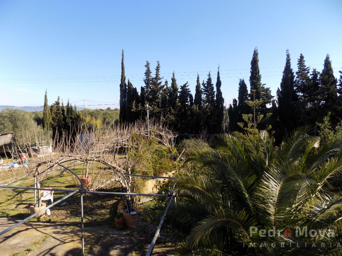 For sale of rural property in Montbrió del Camp