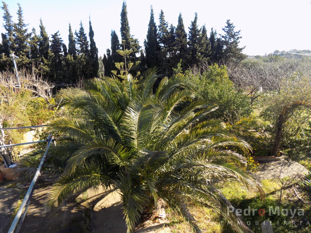 For sale of rural property in Montbrió del Camp