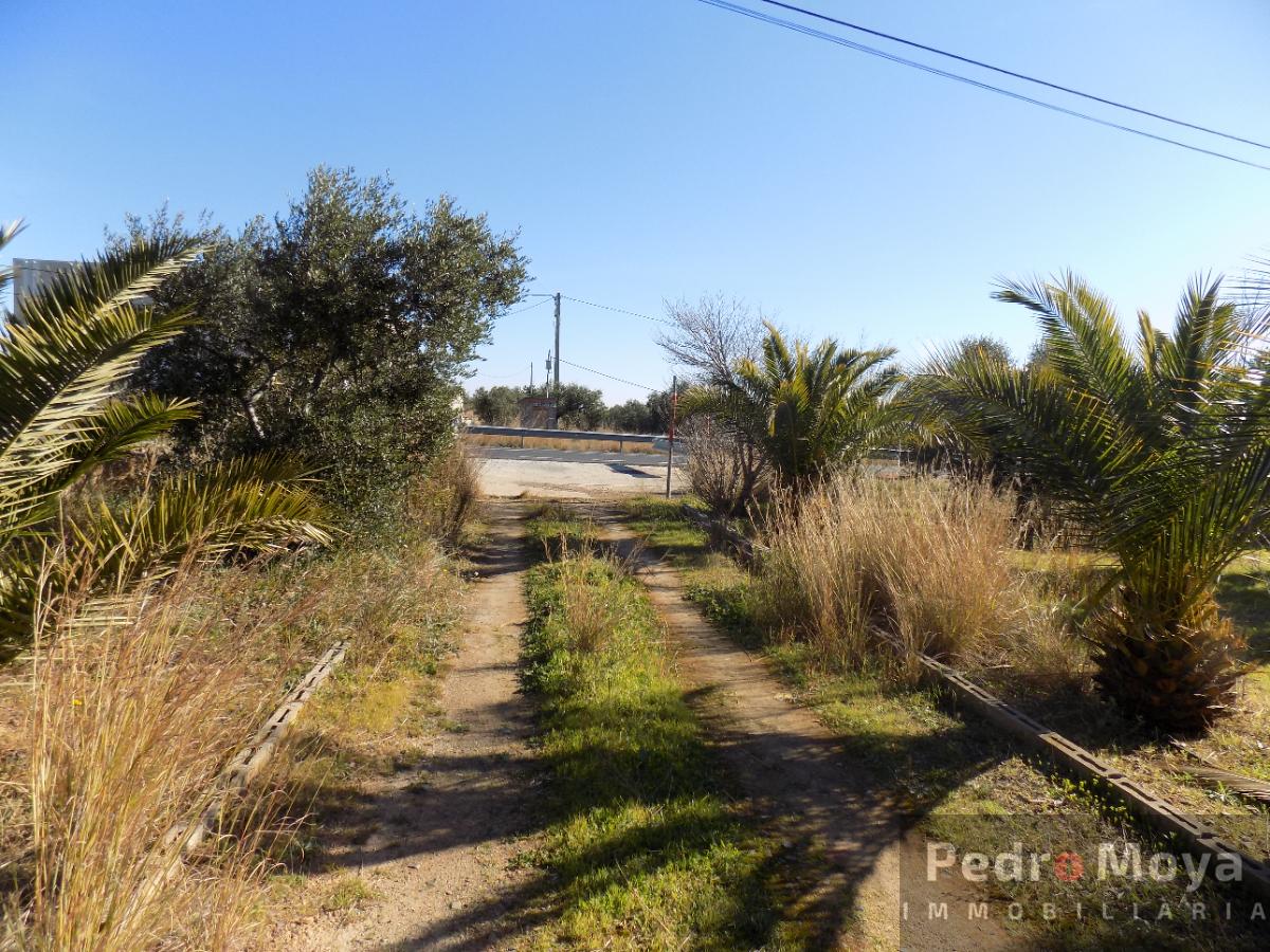 For sale of rural property in Montbrió del Camp