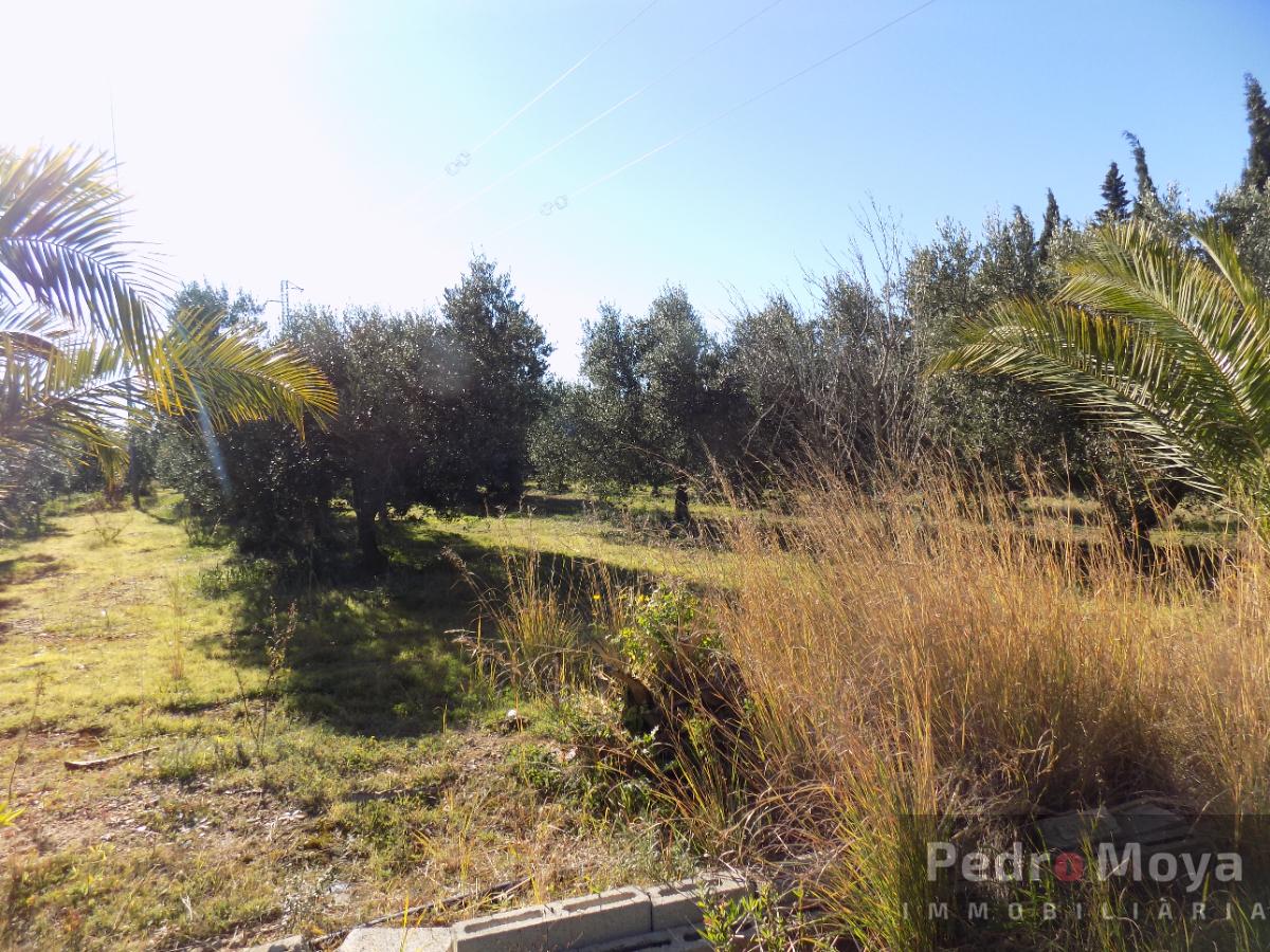 For sale of rural property in Montbrió del Camp