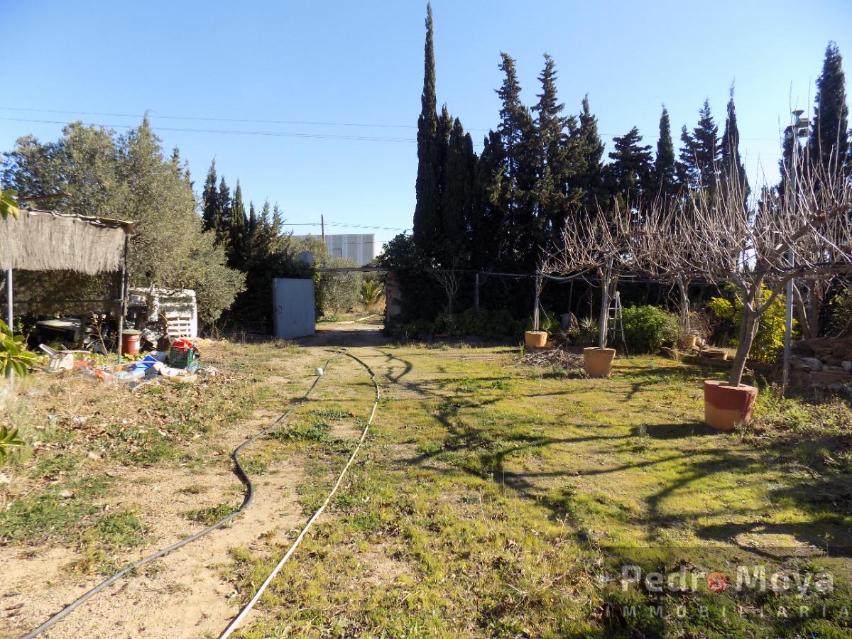 Venta de finca rústica en Montbrió del Camp