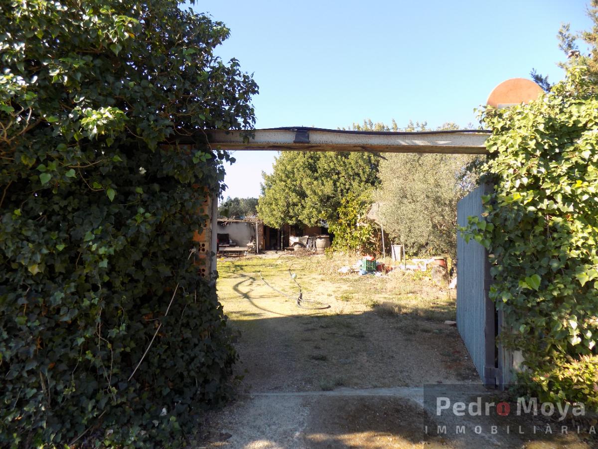 For sale of rural property in Montbrió del Camp