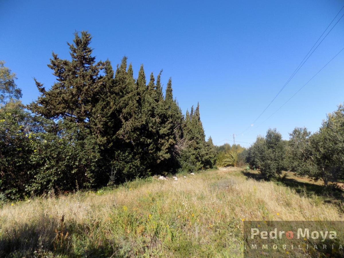 For sale of rural property in Montbrió del Camp