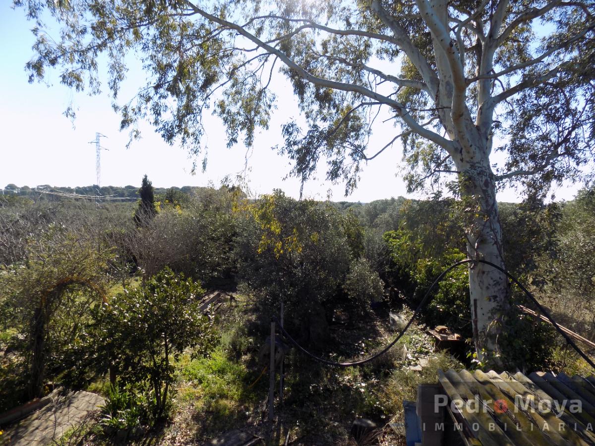 Venta de finca rústica en Montbrió del Camp