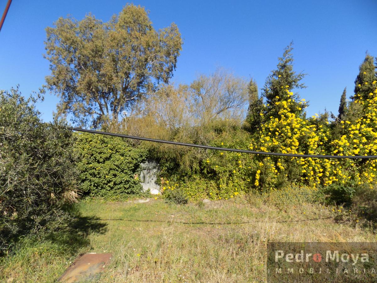 Venta de finca rústica en Montbrió del Camp