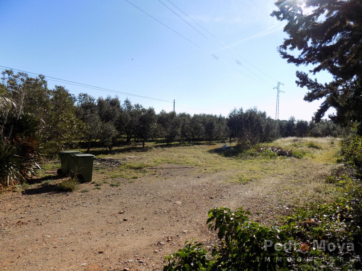 For sale of rural property in Montbrió del Camp