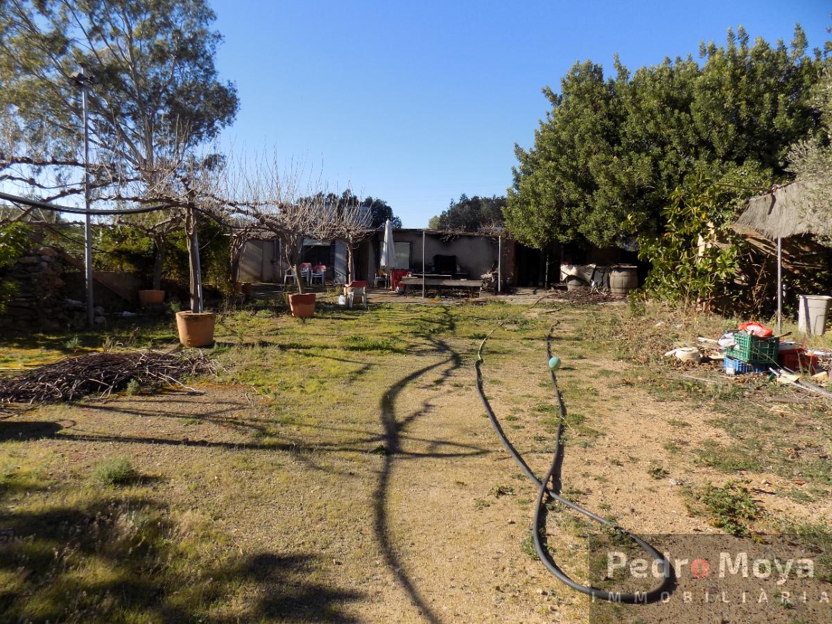 Venta de finca rústica en Montbrió del Camp