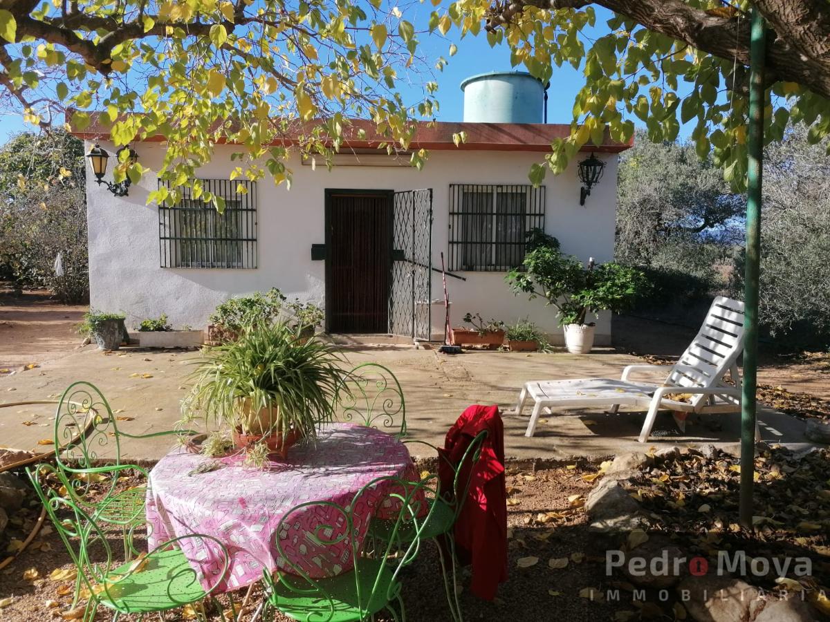 For sale of rural property in Constantí