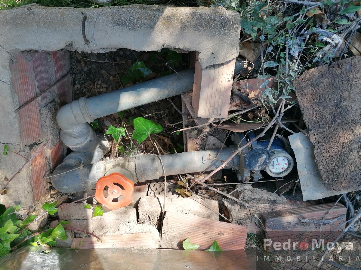 For share of  in Reus