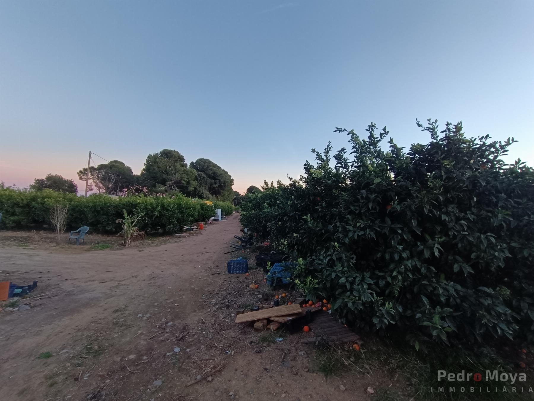 Venta de finca rústica en Cambrils