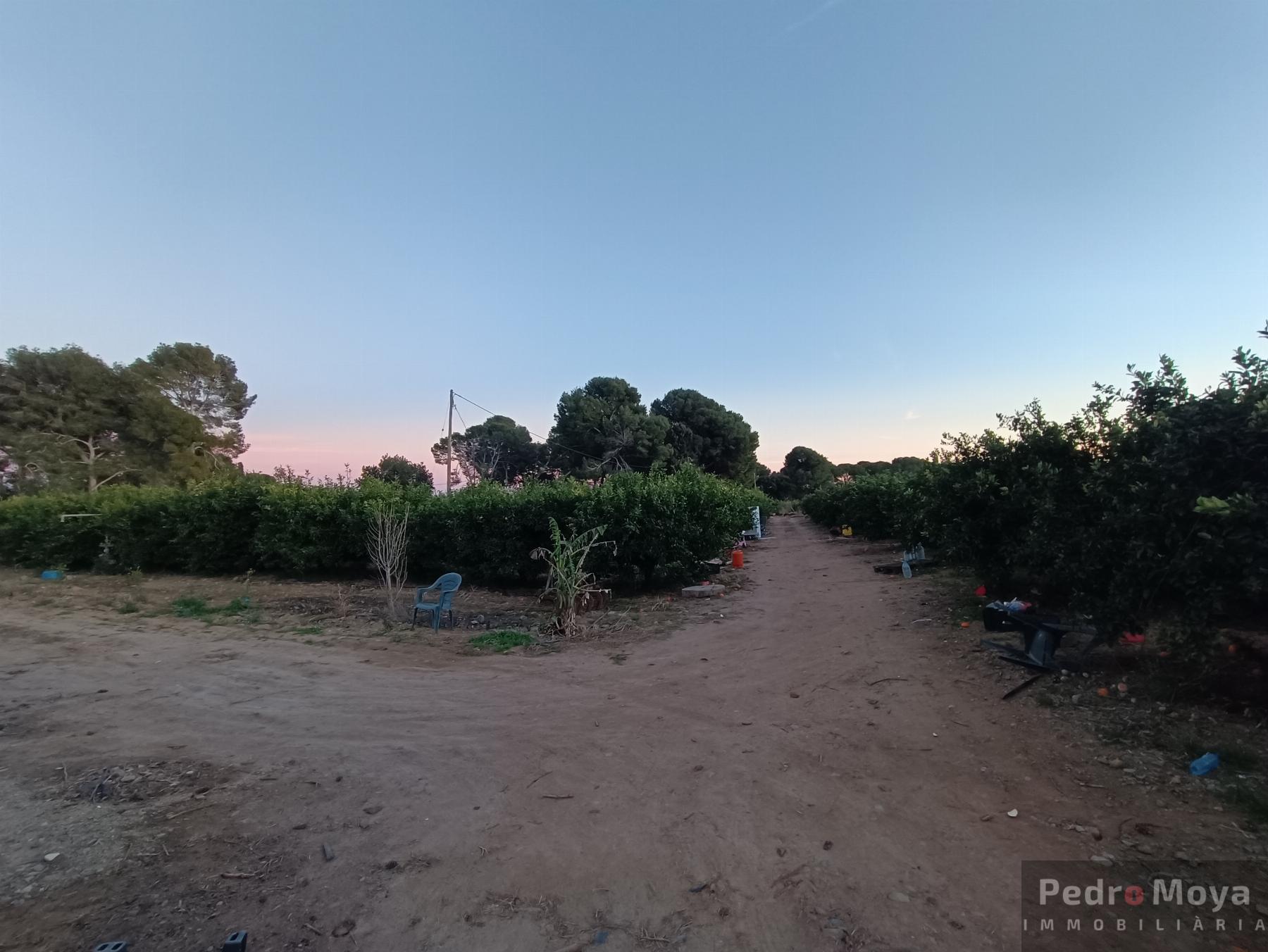 Venta de finca rústica en Cambrils