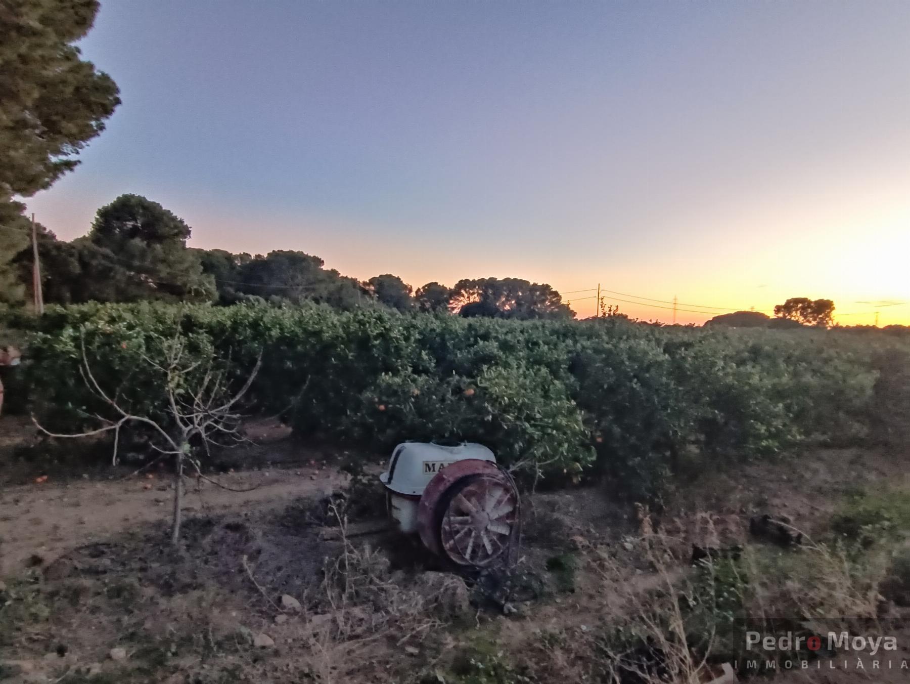 Venta de finca rústica en Cambrils