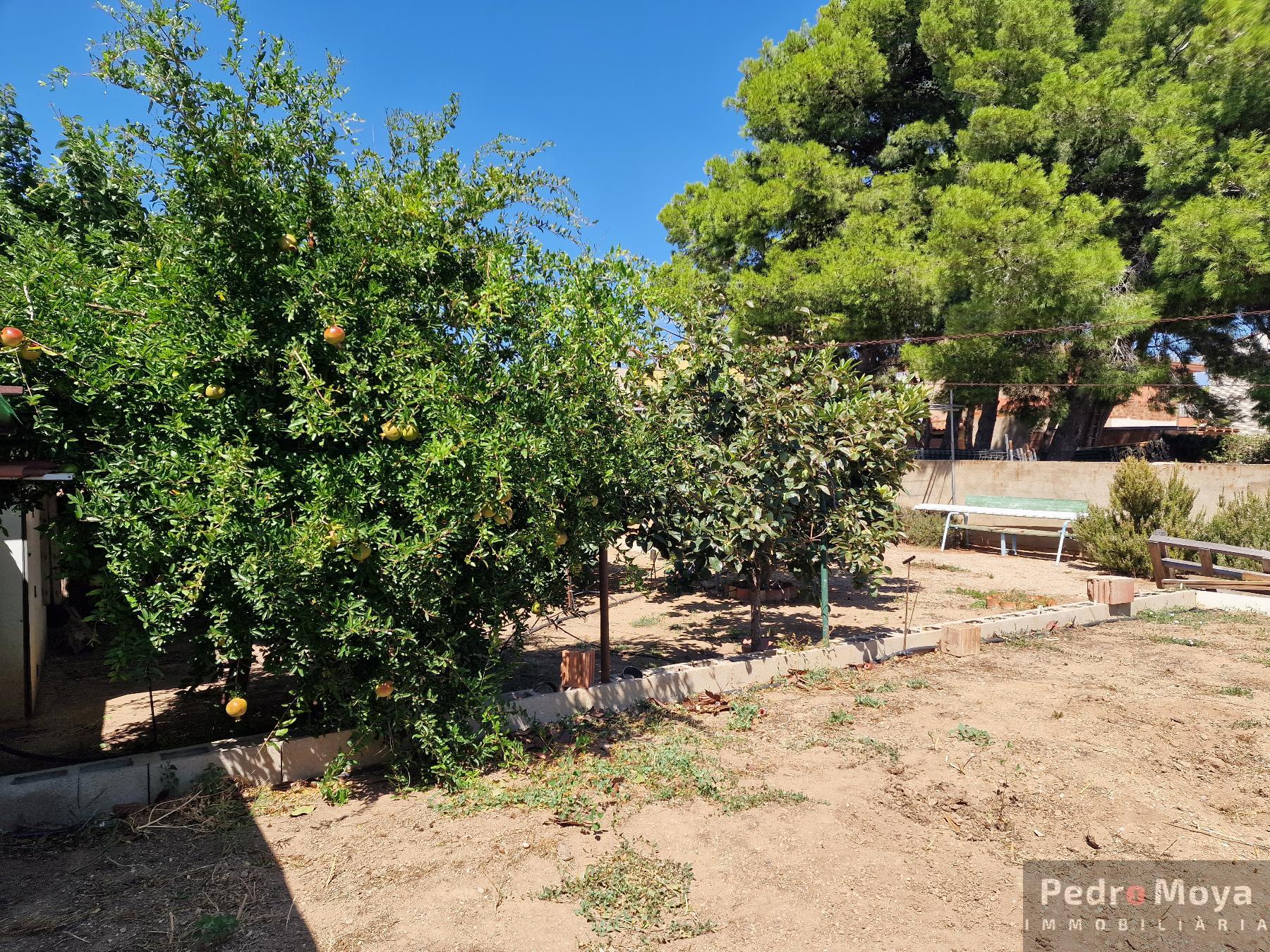 For sale of land in Miami - Platja