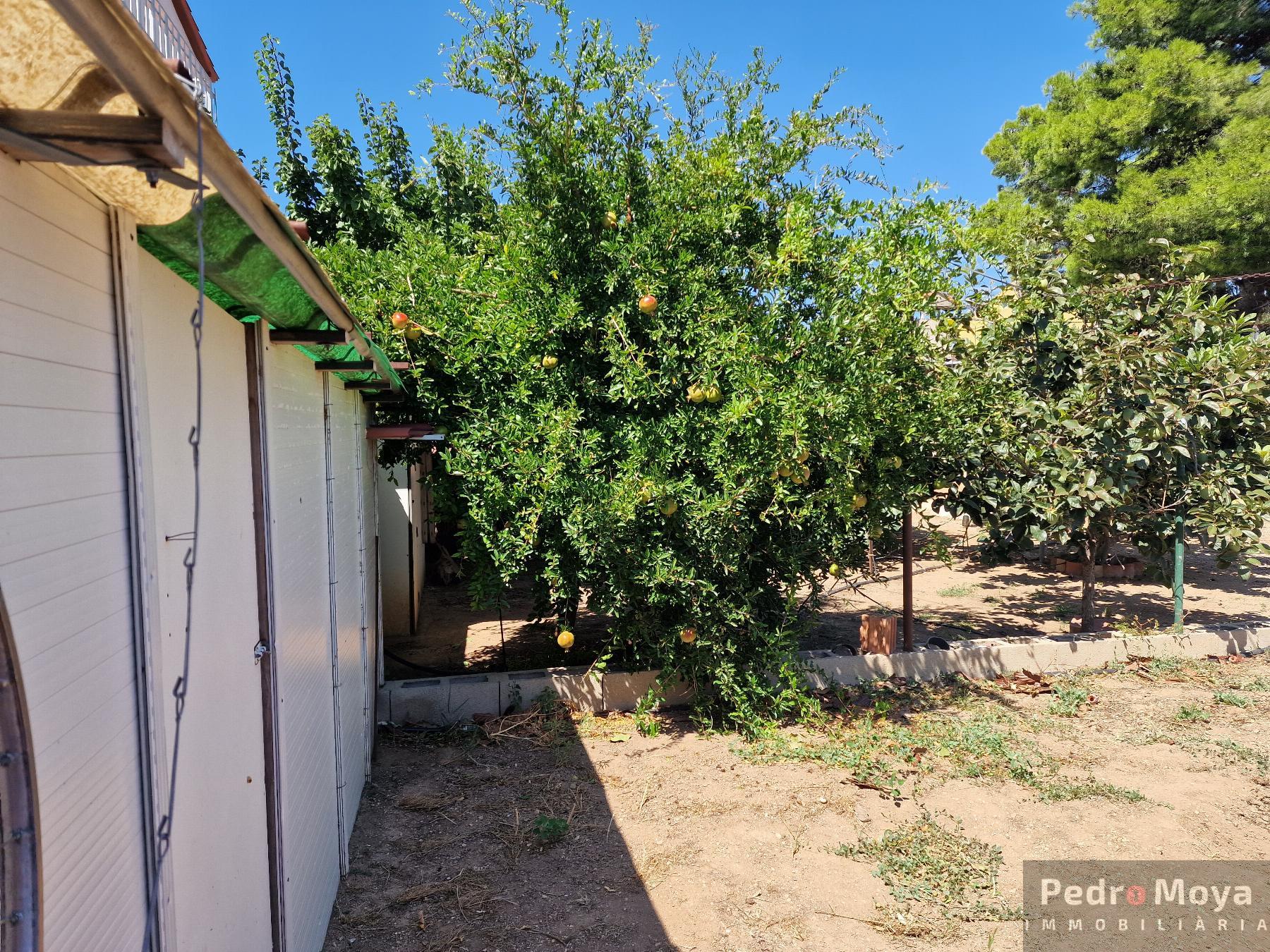 For sale of land in Miami - Platja
