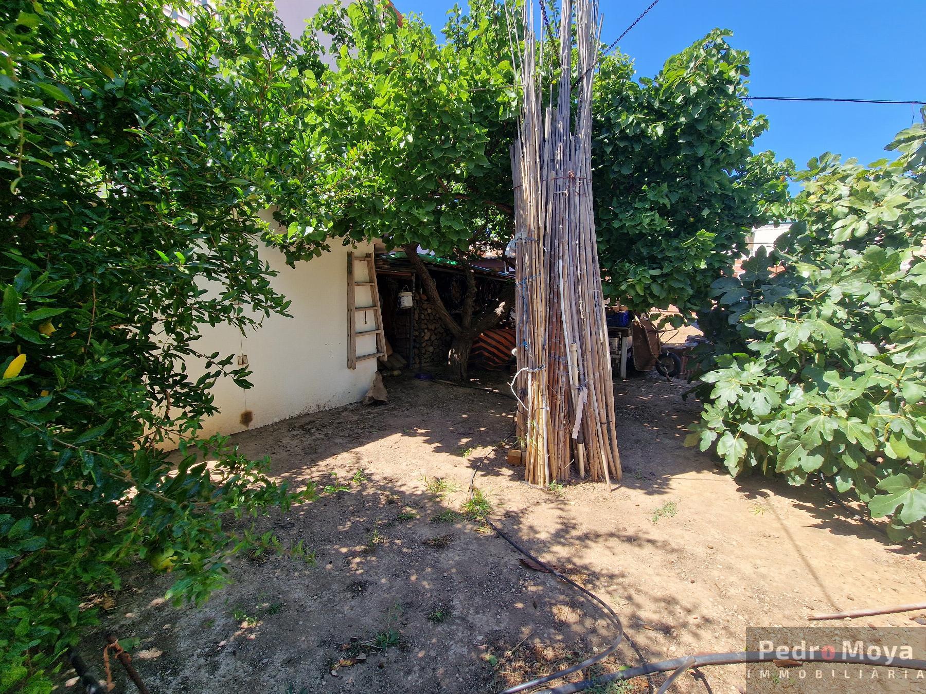 For sale of land in Miami - Platja