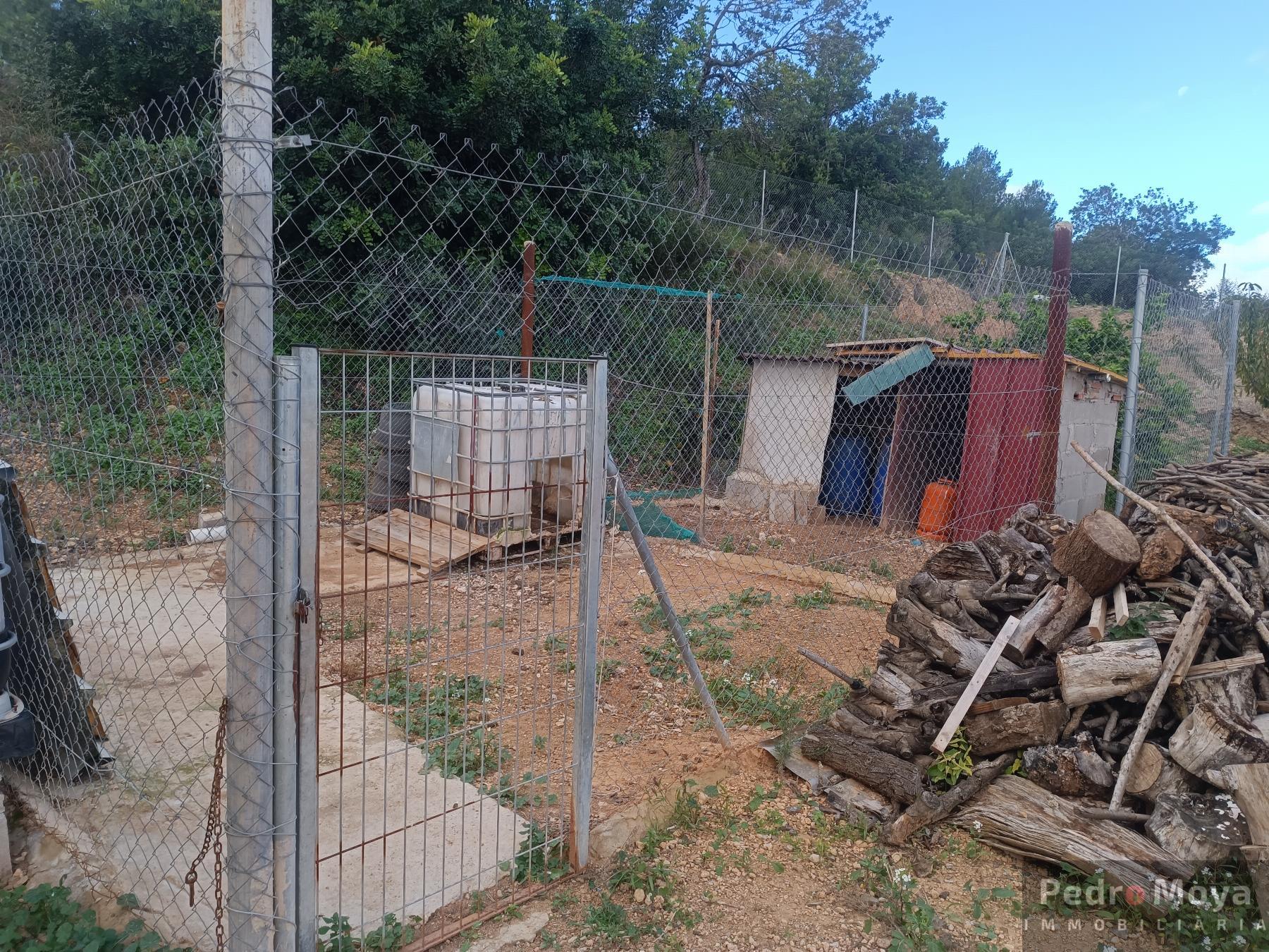 Venta de finca rústica en Alcover