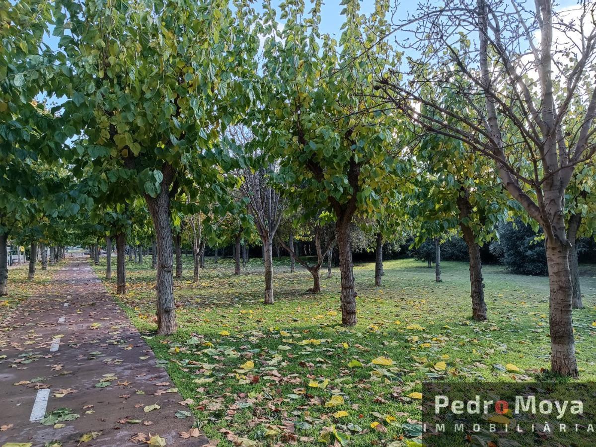 Surroundings