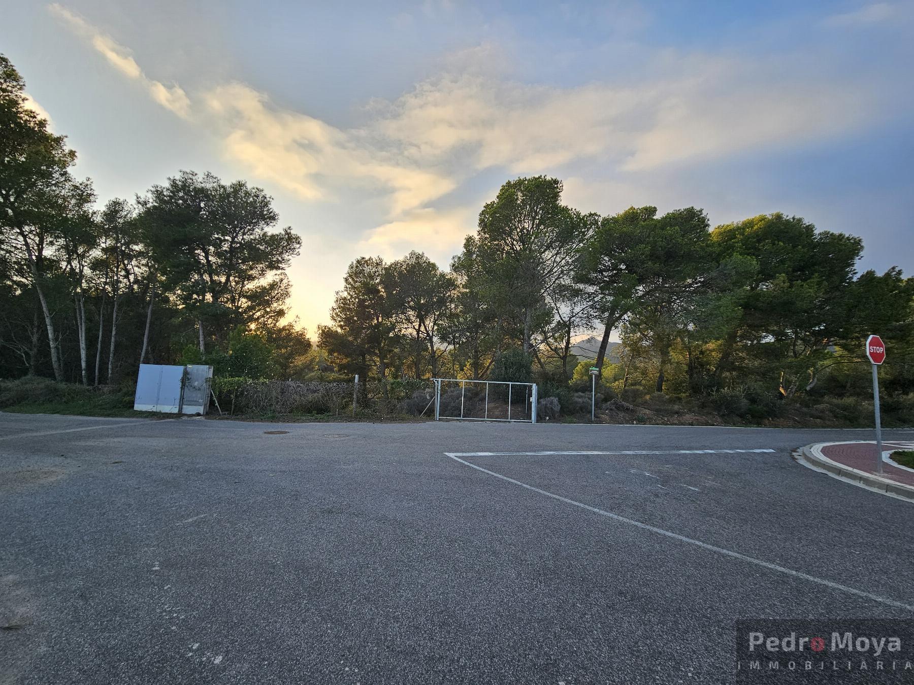 Ground