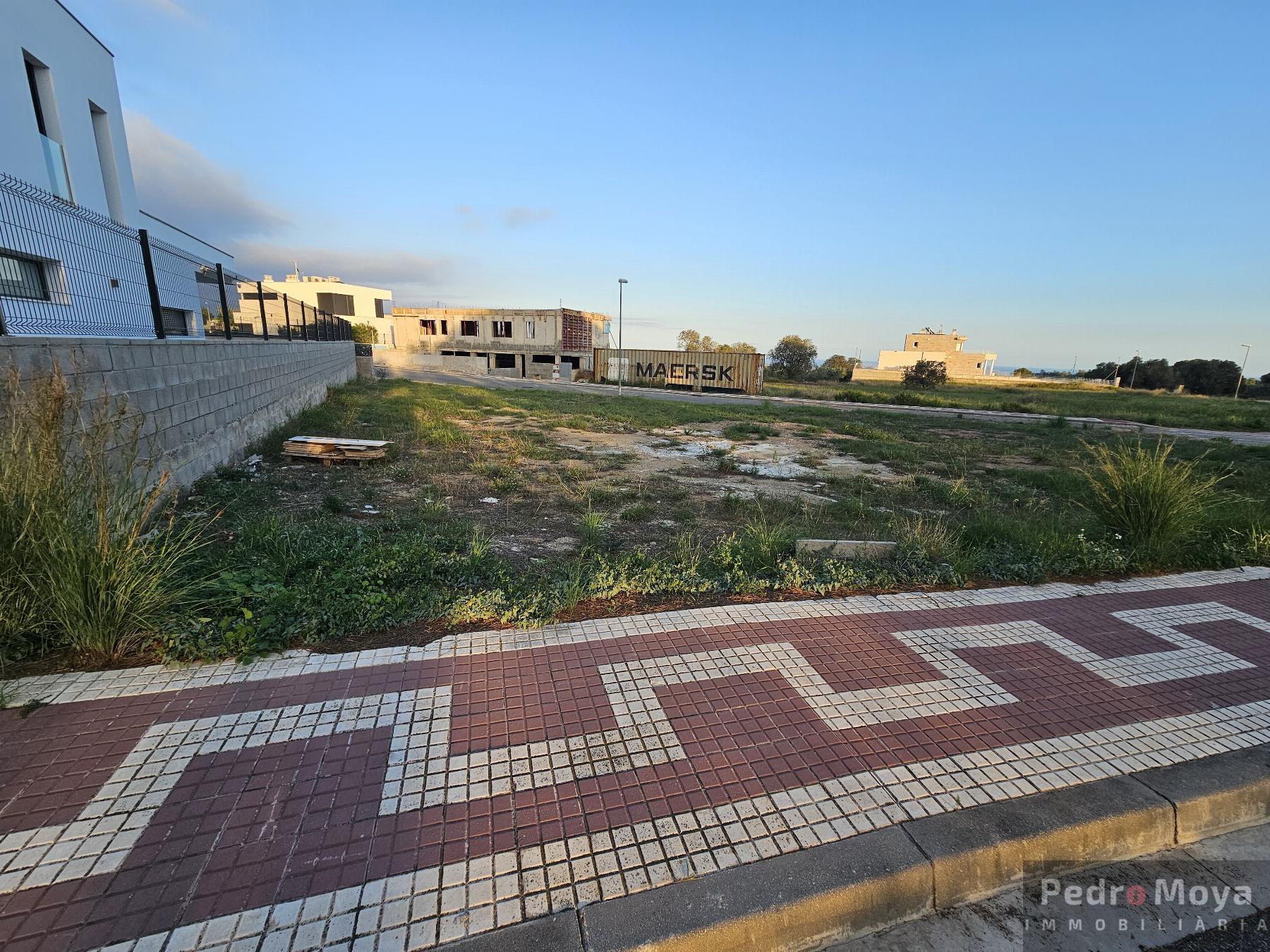 Ground