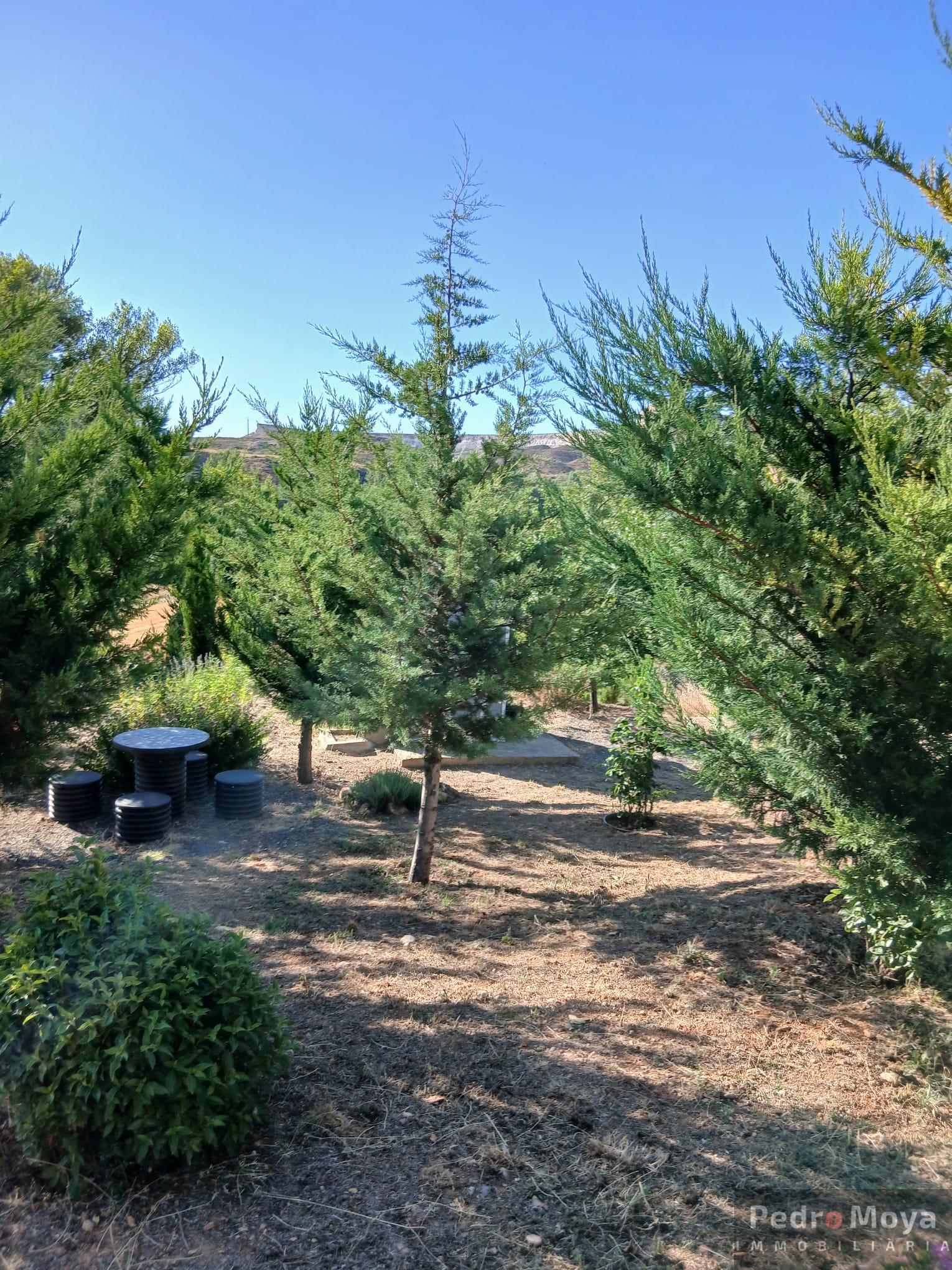 Venta de finca de recreo en Arcos de Jalón Venta de finca de recreo en Arcos de Jalón