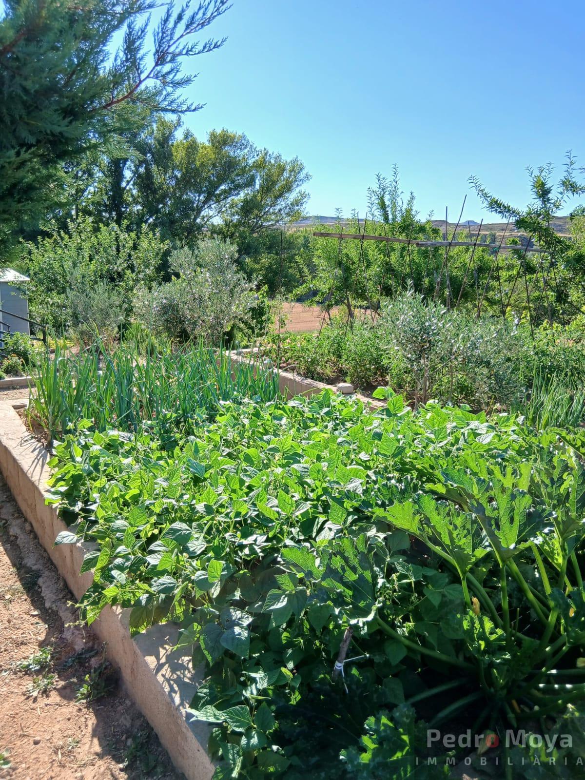 Venta de finca de recreo en Arcos de Jalón Venta de finca de recreo en Arcos de Jalón