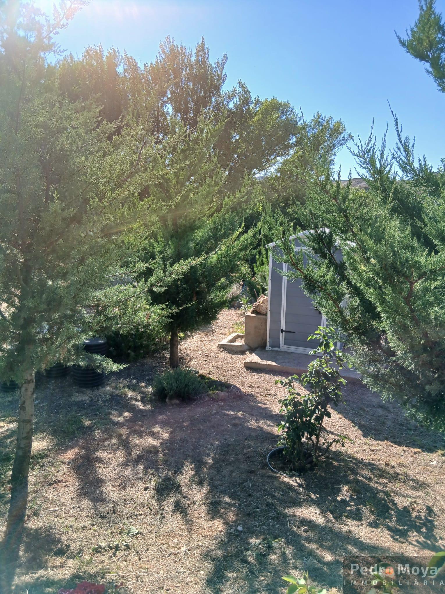 Venta de finca de recreo en Arcos de Jalón Venta de finca de recreo en Arcos de Jalón