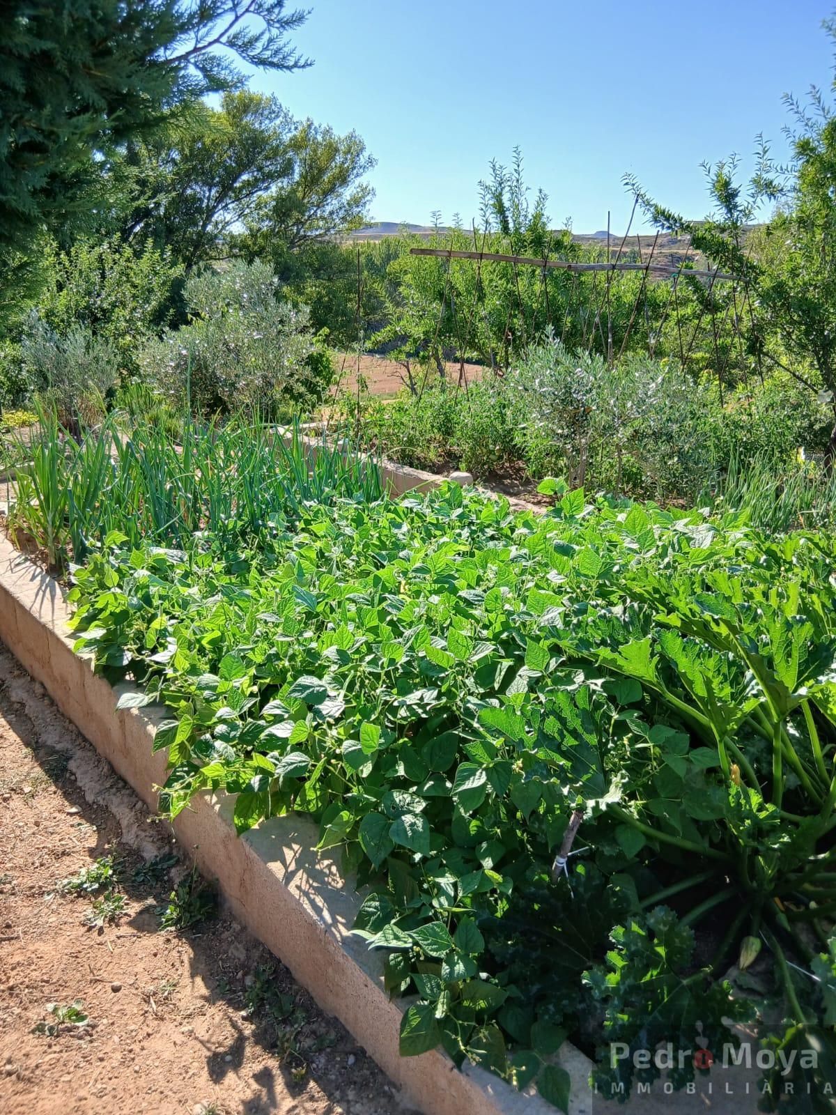 Venta de finca de recreo en Arcos de Jalón Venta de finca de recreo en Arcos de Jalón