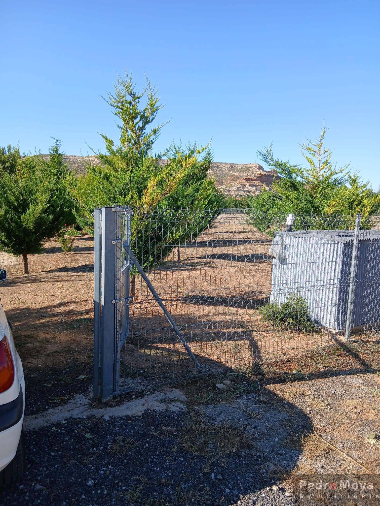 Venta de finca de recreo en Arcos de Jalón Venta de finca de recreo en Arcos de Jalón