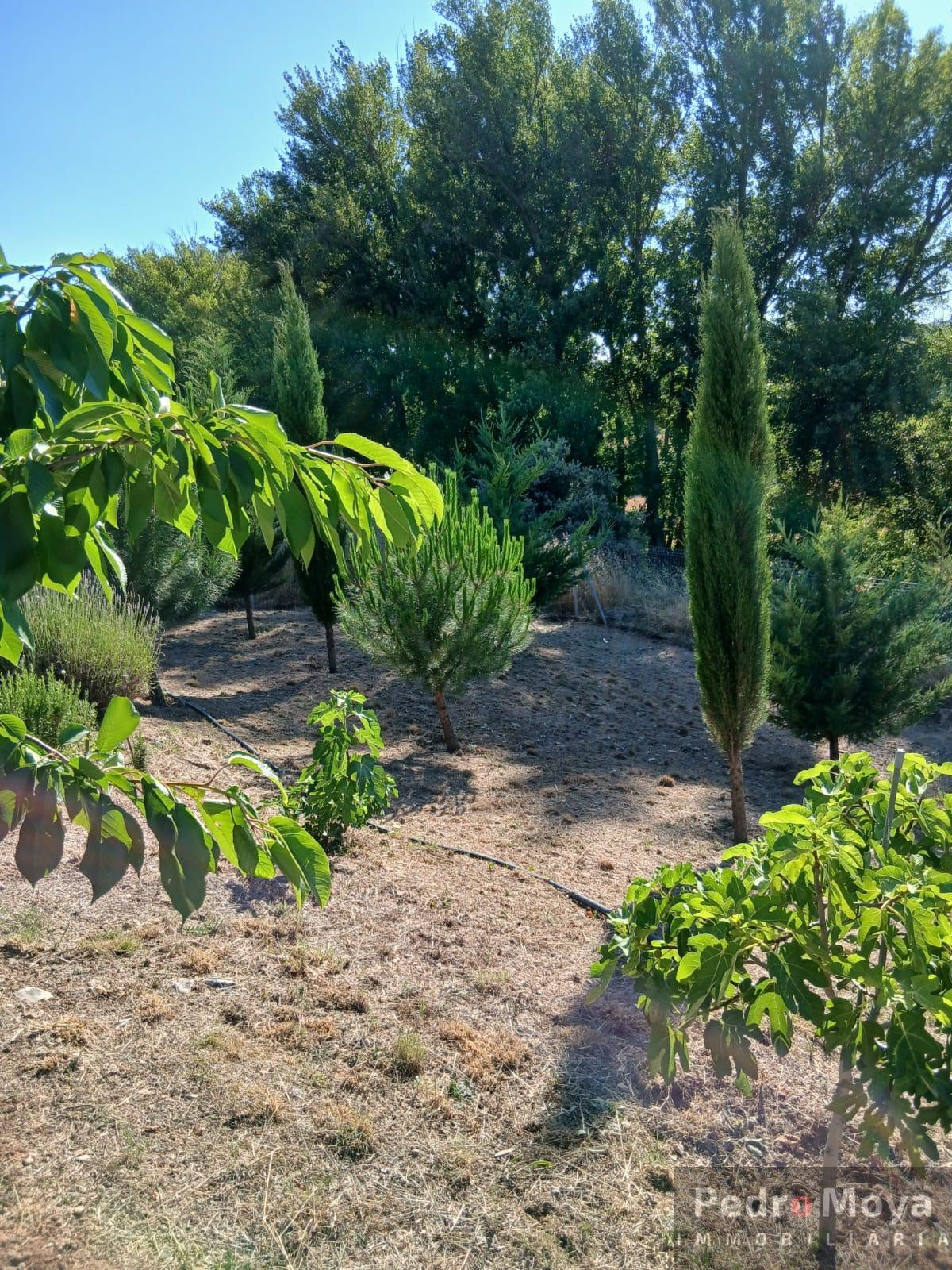 Venta de finca de recreo en Arcos de Jalón Venta de finca de recreo en Arcos de Jalón