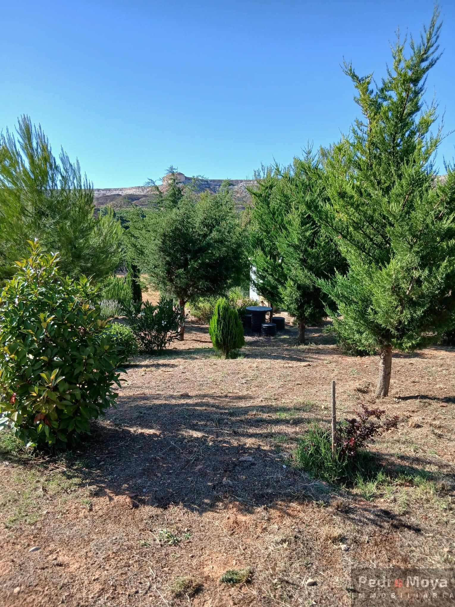 Venta de finca de recreo en Arcos de Jalón Venta de finca de recreo en Arcos de Jalón