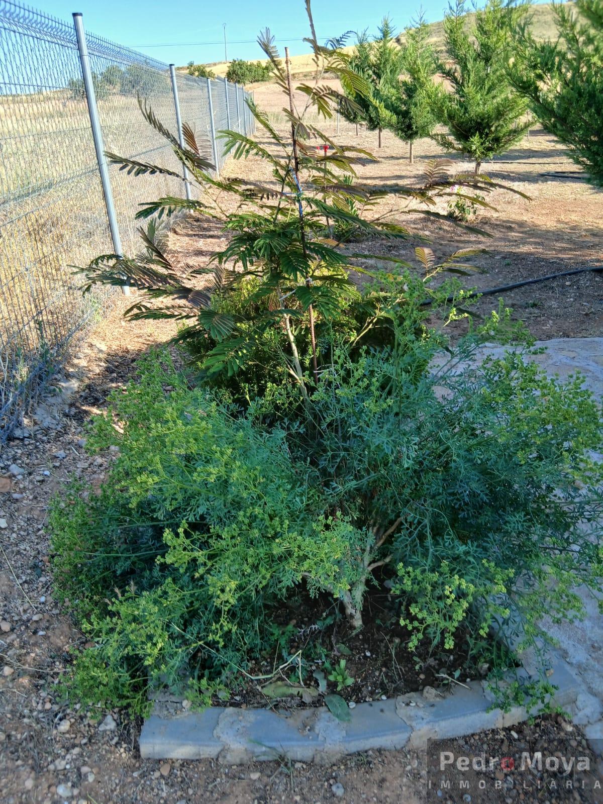 Venta de finca de recreo en Arcos de Jalón Venta de finca de recreo en Arcos de Jalón