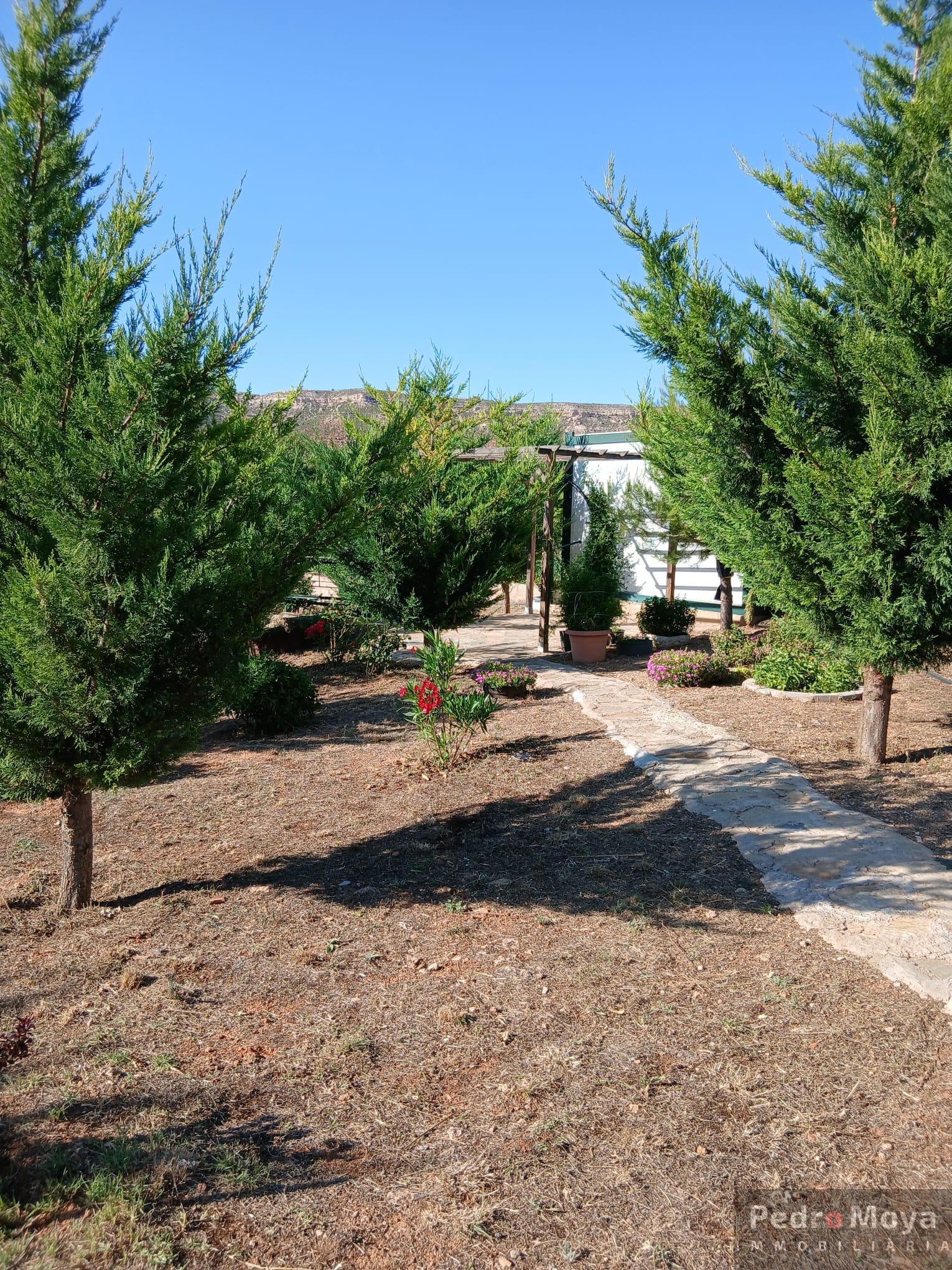 Venta de finca de recreo en Arcos de Jalón Venta de finca de recreo en Arcos de Jalón