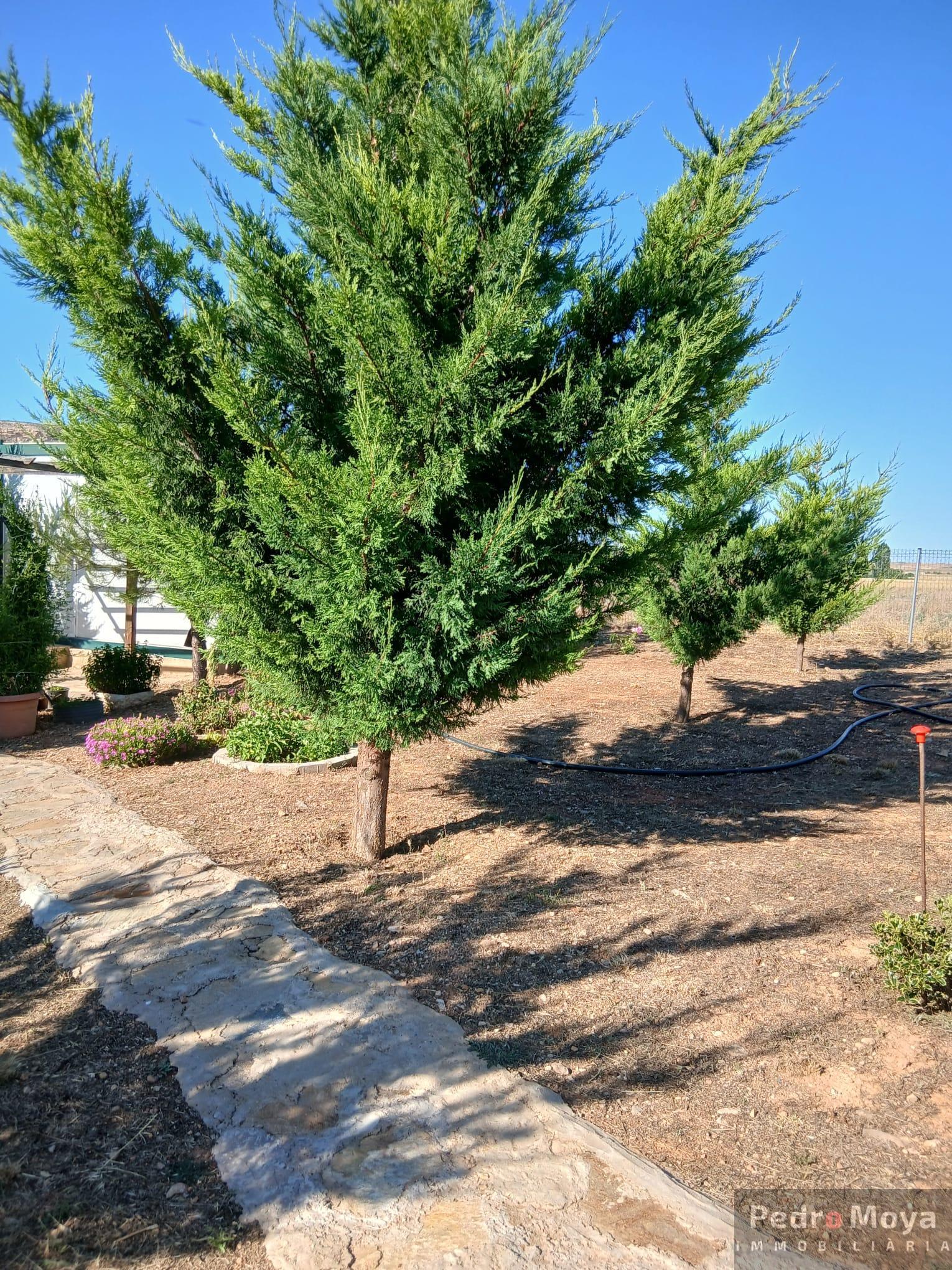 Venta de finca de recreo en Arcos de Jalón Venta de finca de recreo en Arcos de Jalón