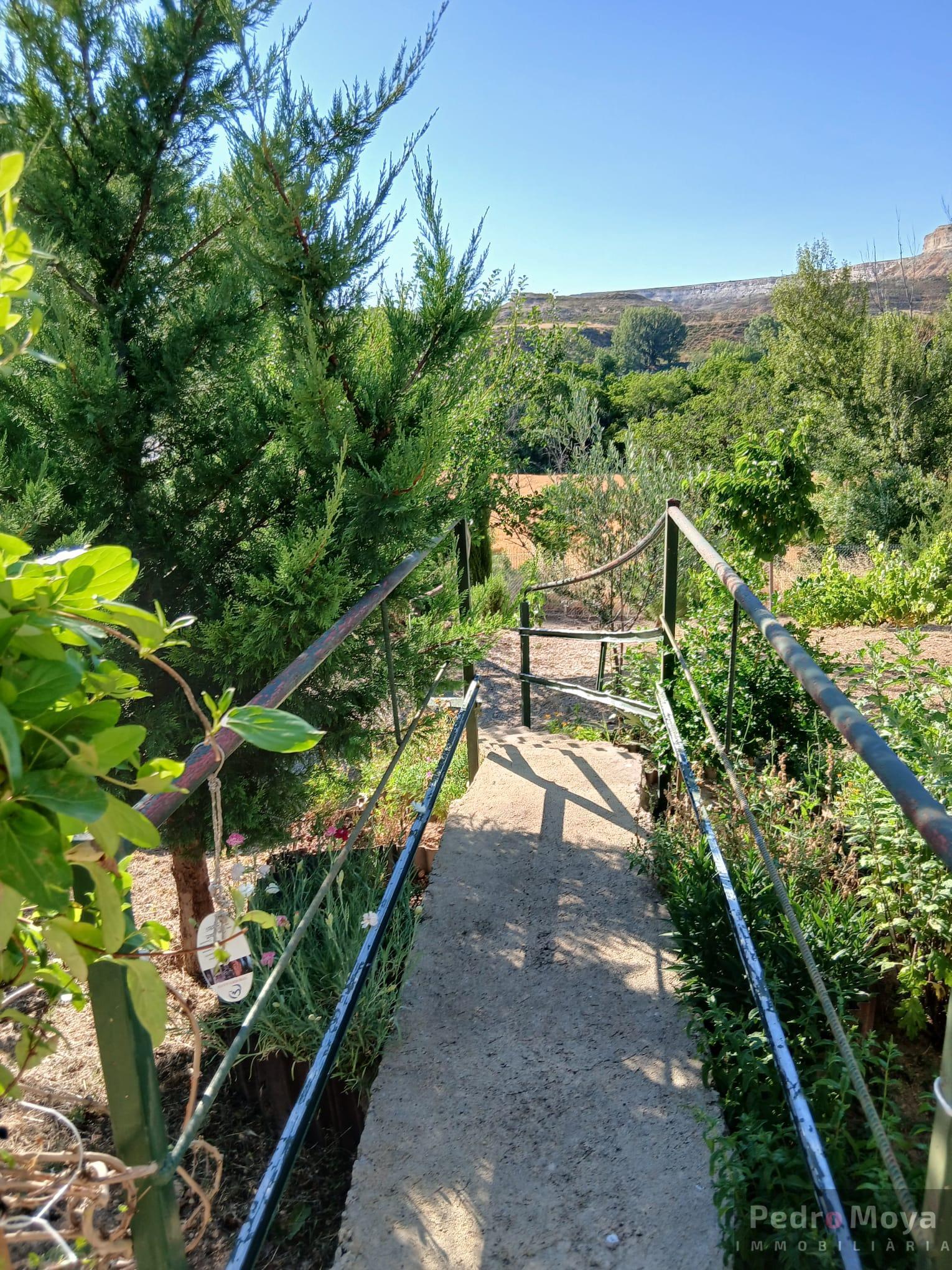 Venta de finca de recreo en Arcos de Jalón Venta de finca de recreo en Arcos de Jalón