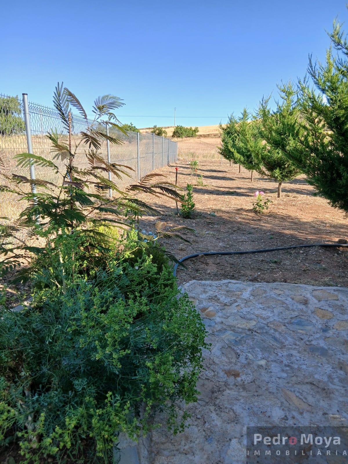 Venta de finca de recreo en Arcos de Jalón Venta de finca de recreo en Arcos de Jalón