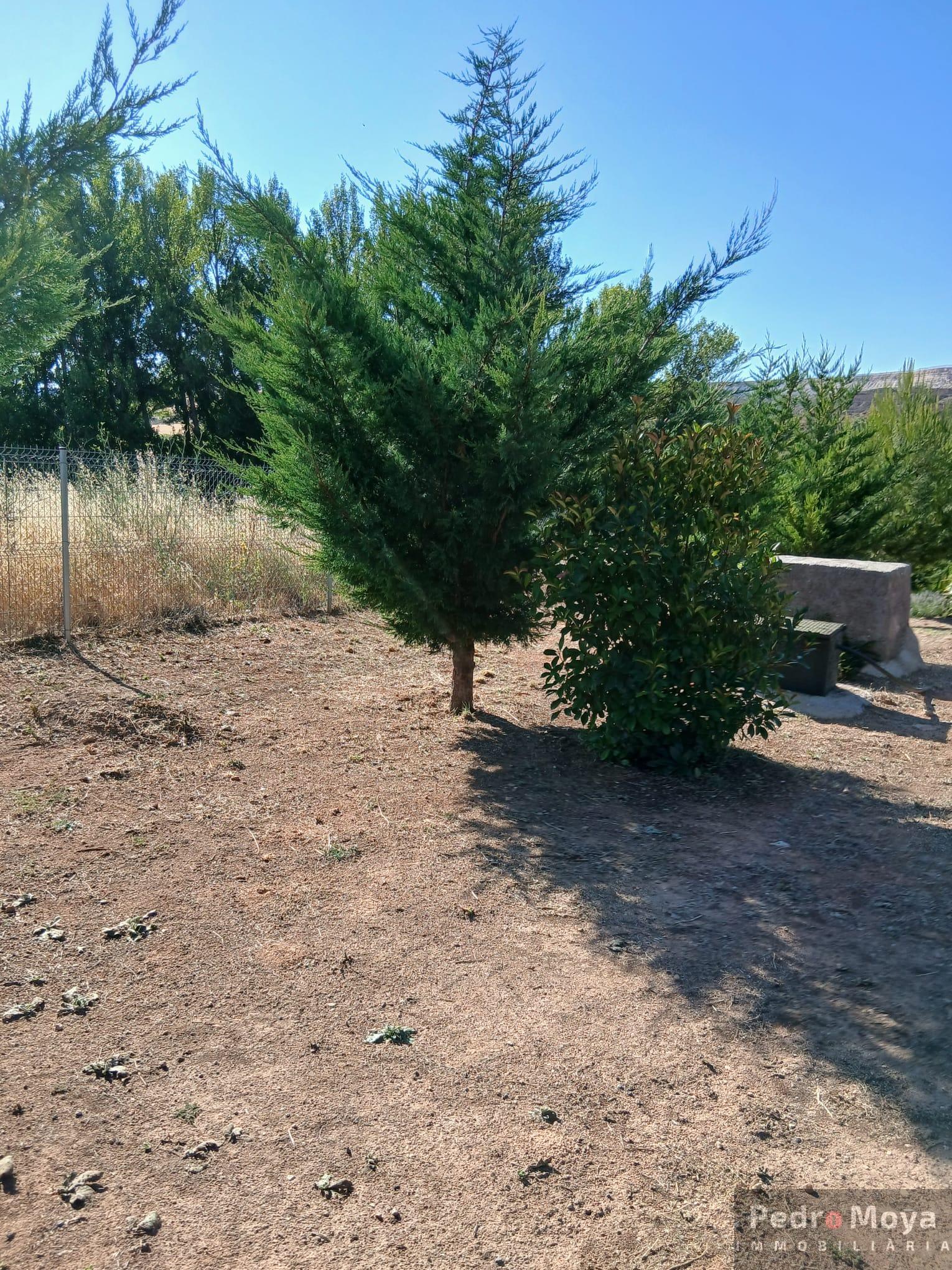 Venta de finca de recreo en Arcos de Jalón Venta de finca de recreo en Arcos de Jalón