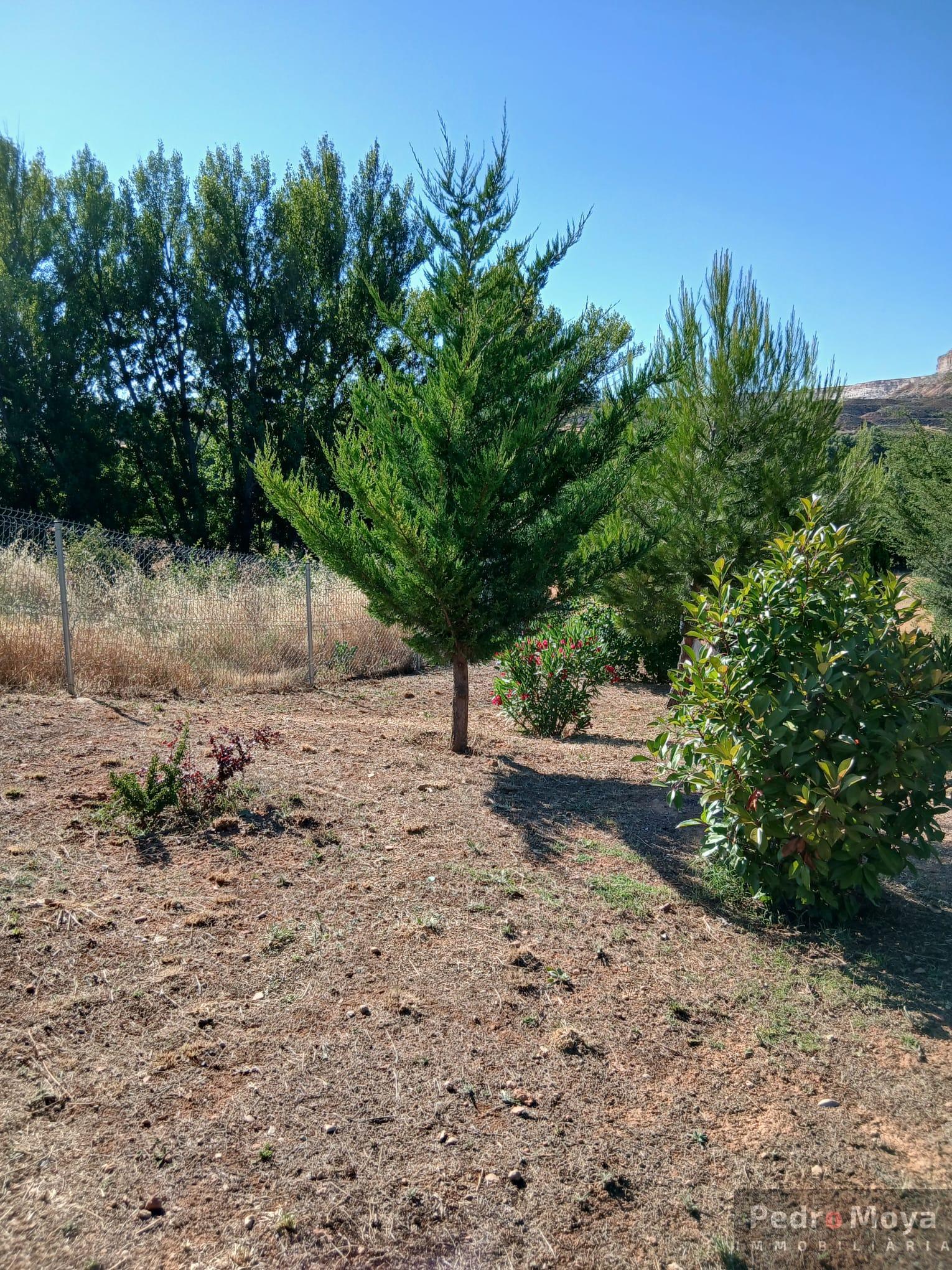 Venta de finca de recreo en Arcos de Jalón Venta de finca de recreo en Arcos de Jalón