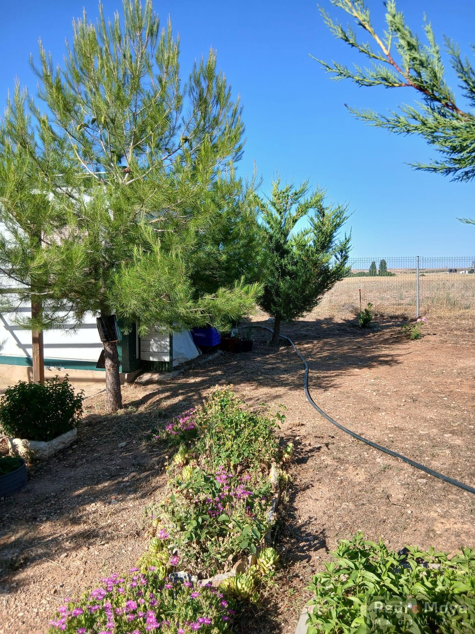 Venta de finca de recreo en Arcos de Jalón Venta de finca de recreo en Arcos de Jalón