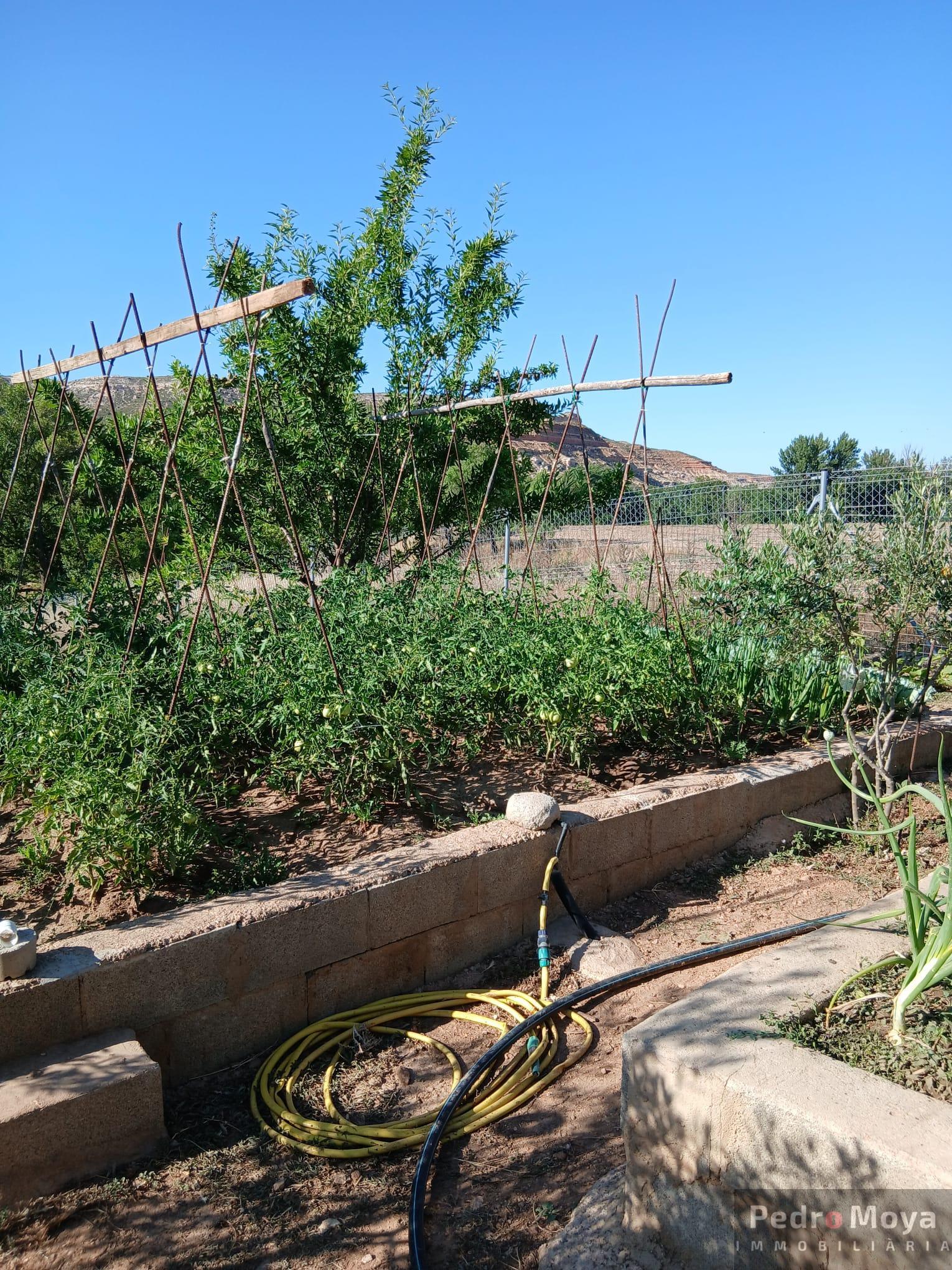 Venta de finca de recreo en Arcos de Jalón Venta de finca de recreo en Arcos de Jalón