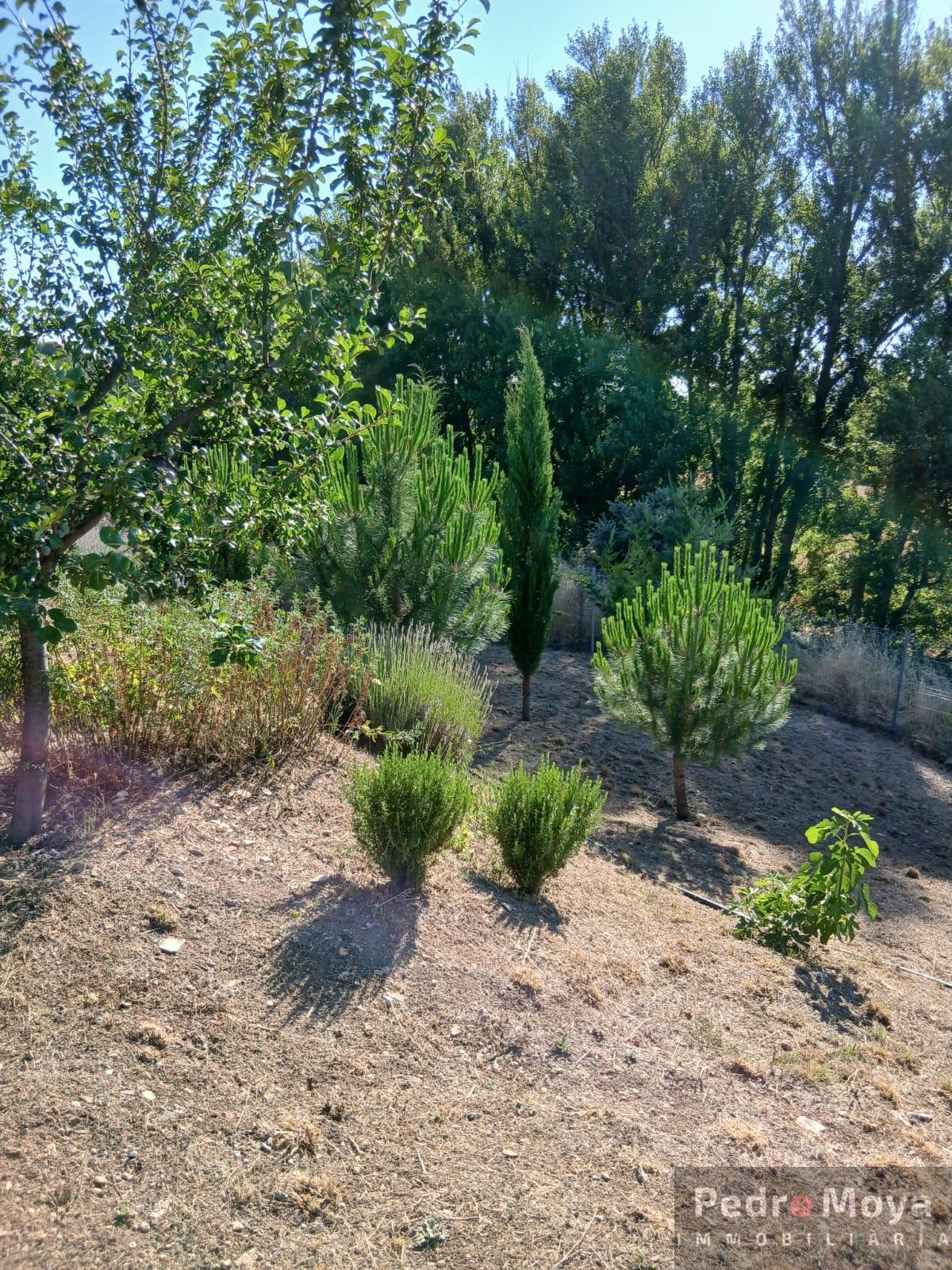 Venta de finca de recreo en Arcos de Jalón Venta de finca de recreo en Arcos de Jalón