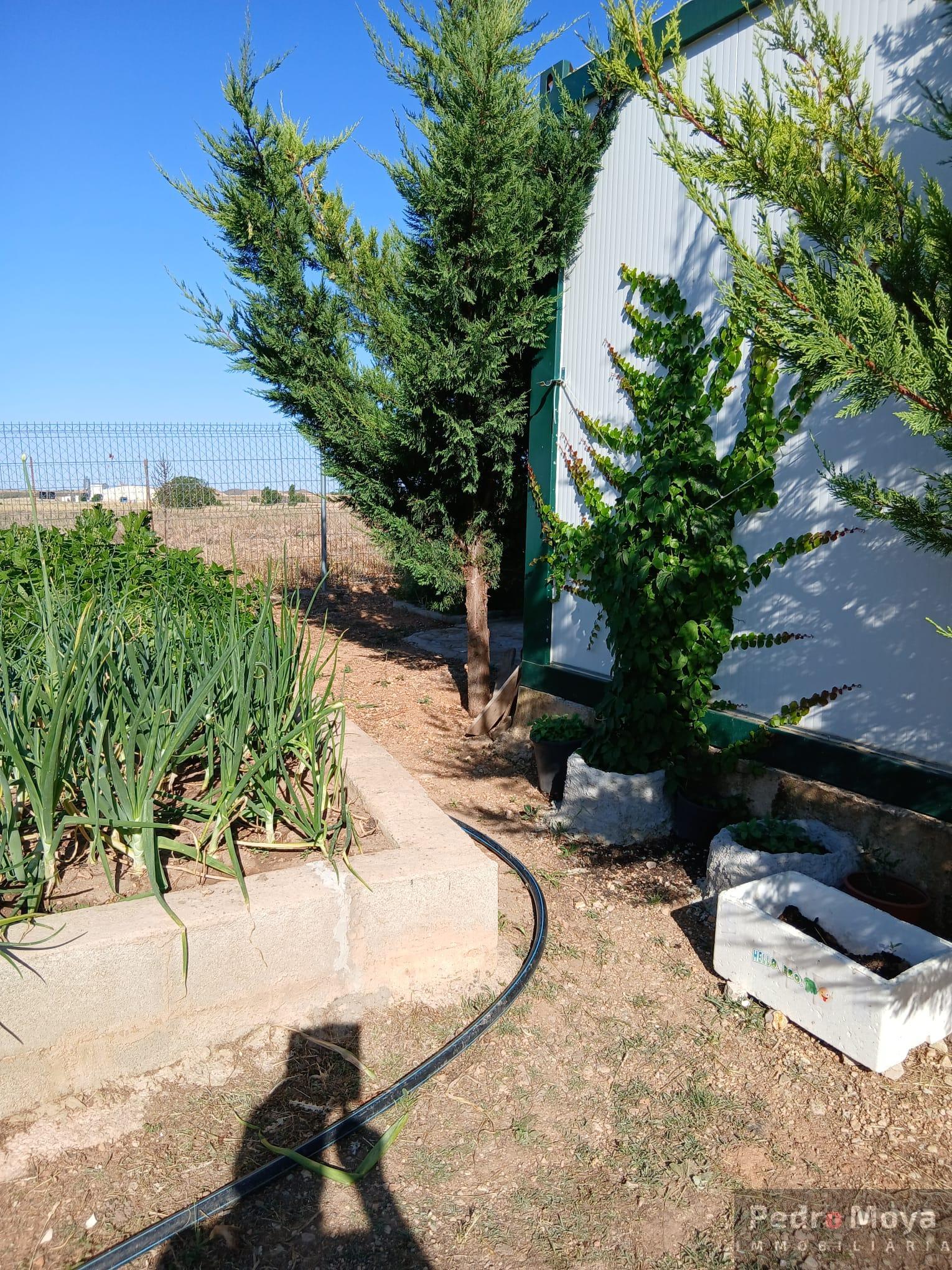 Venta de finca de recreo en Arcos de Jalón Venta de finca de recreo en Arcos de Jalón