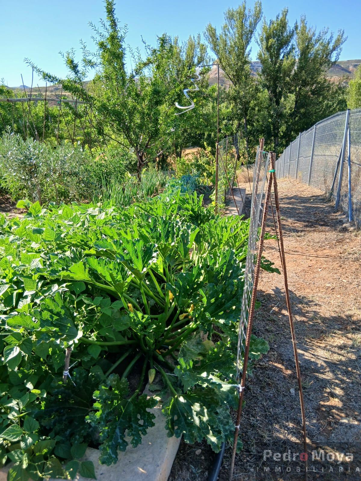 Venta de finca de recreo en Arcos de Jalón Venta de finca de recreo en Arcos de Jalón