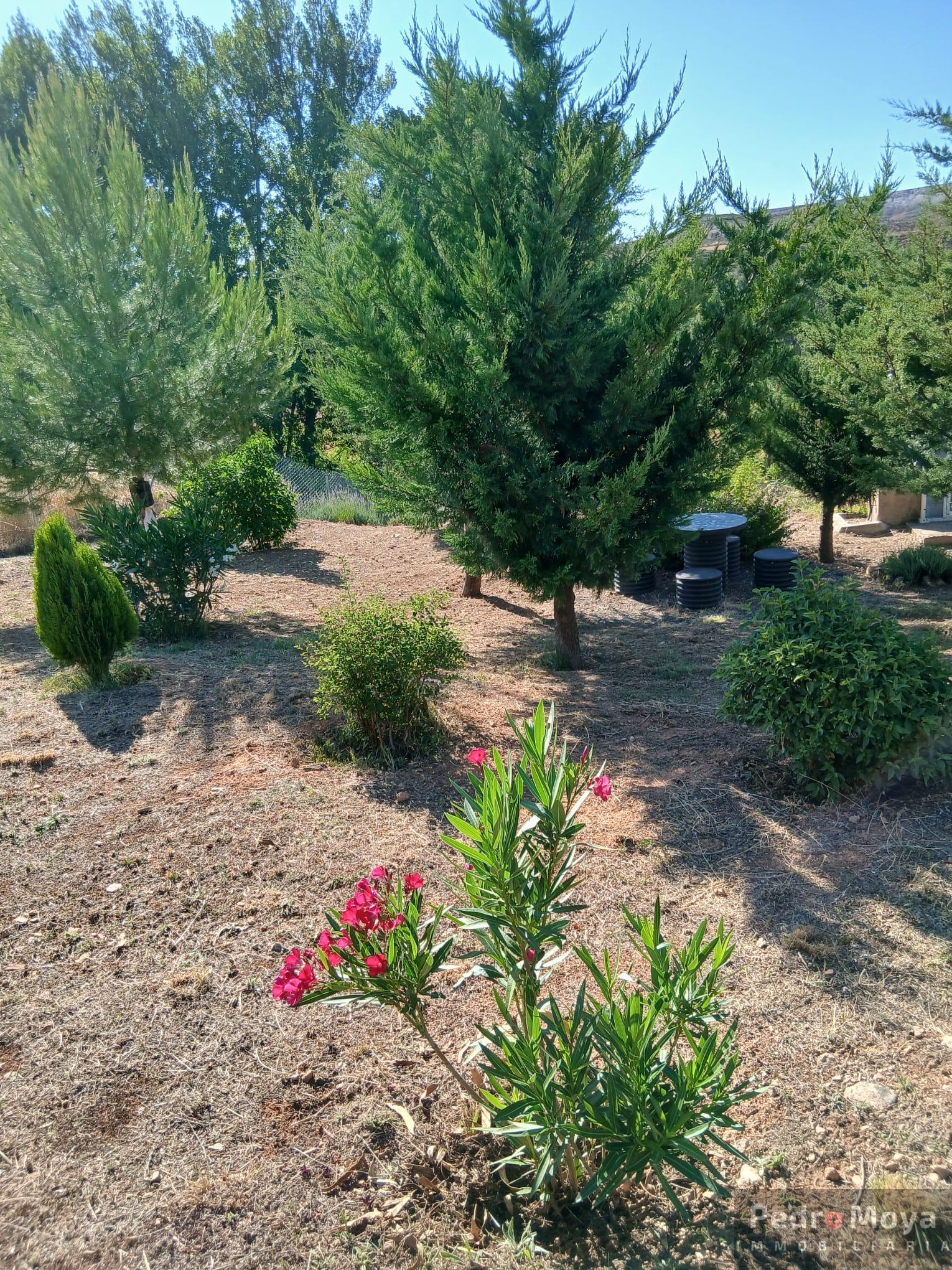 Venta de finca de recreo en Arcos de Jalón Venta de finca de recreo en Arcos de Jalón