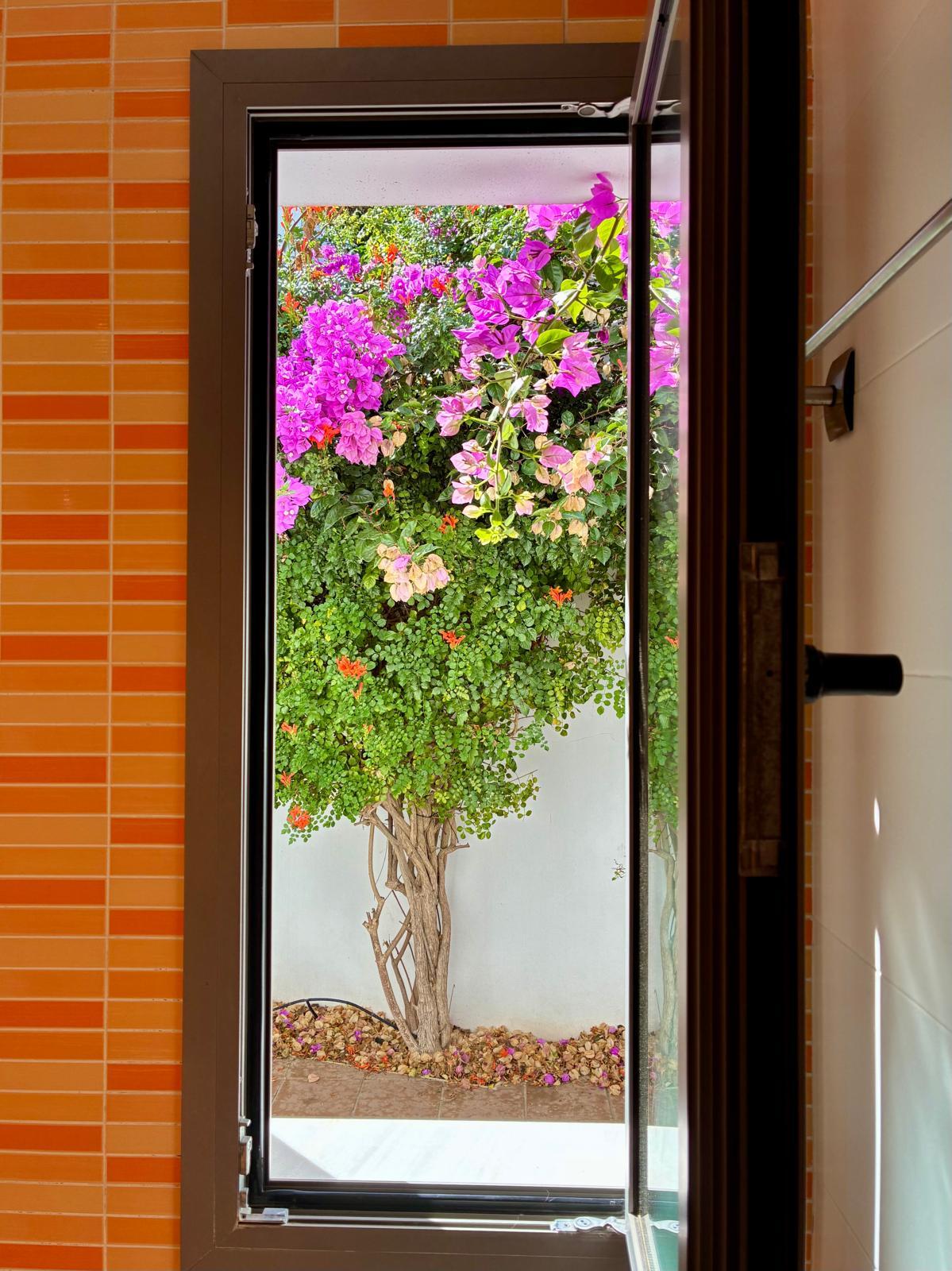 Detalles