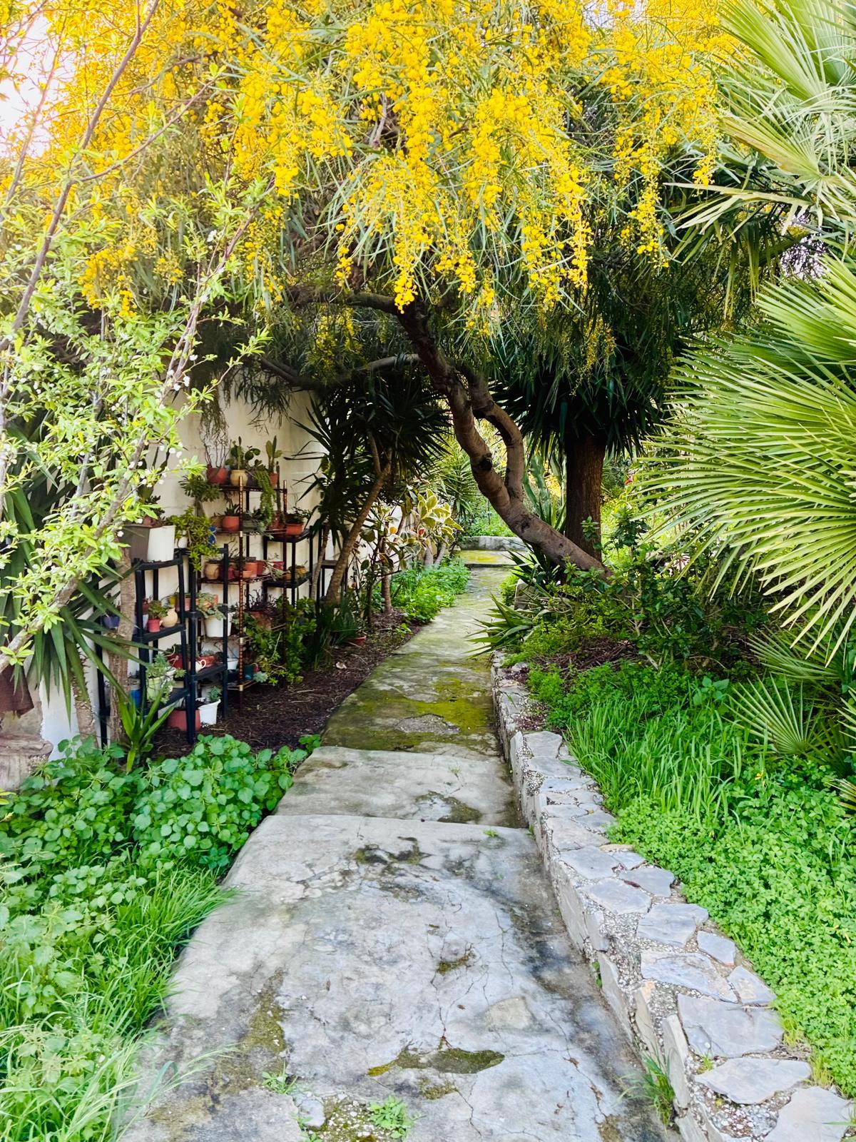 Venta de chalet en Chiclana de la Frontera